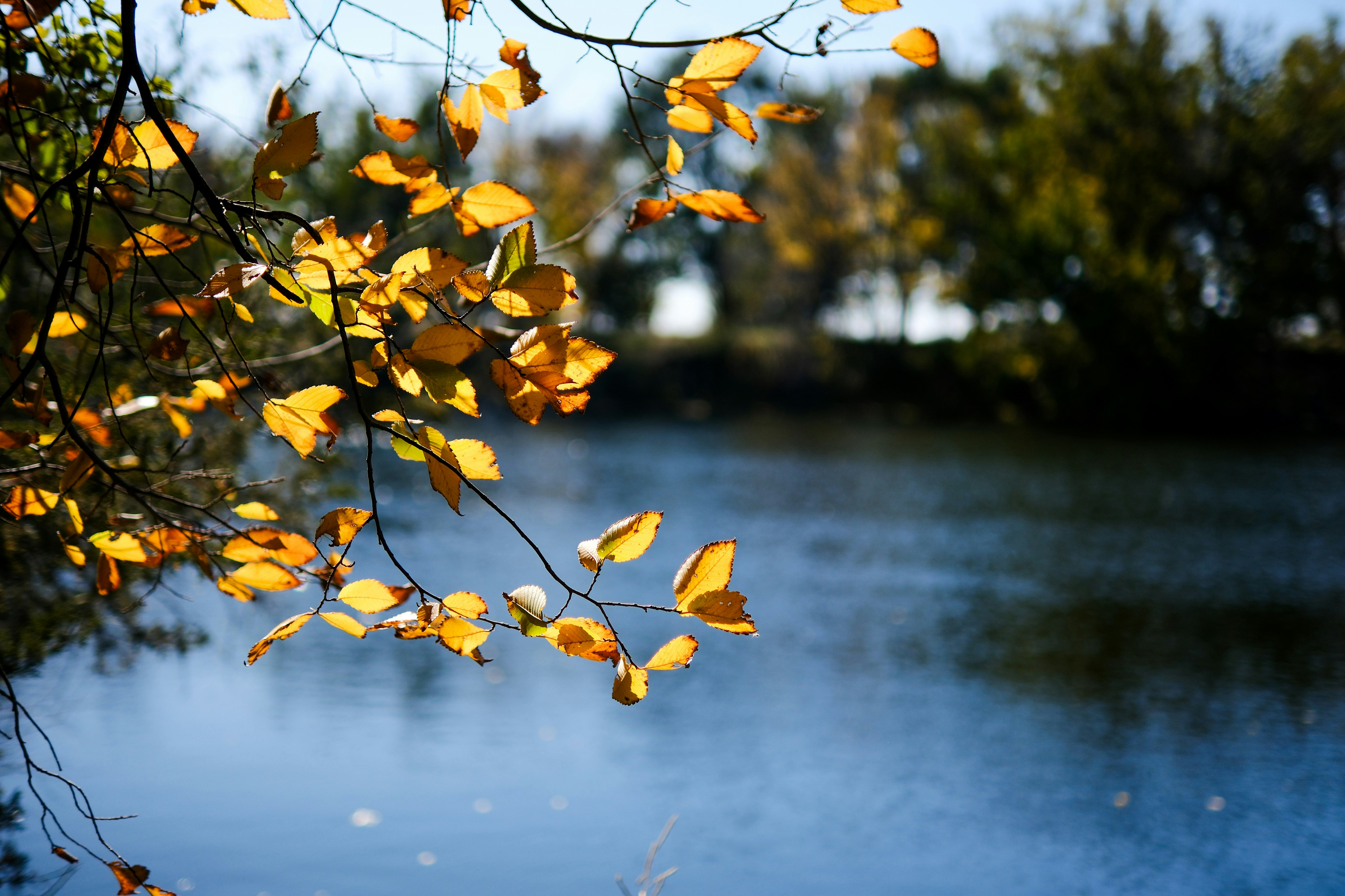 Photo by consoledotlog