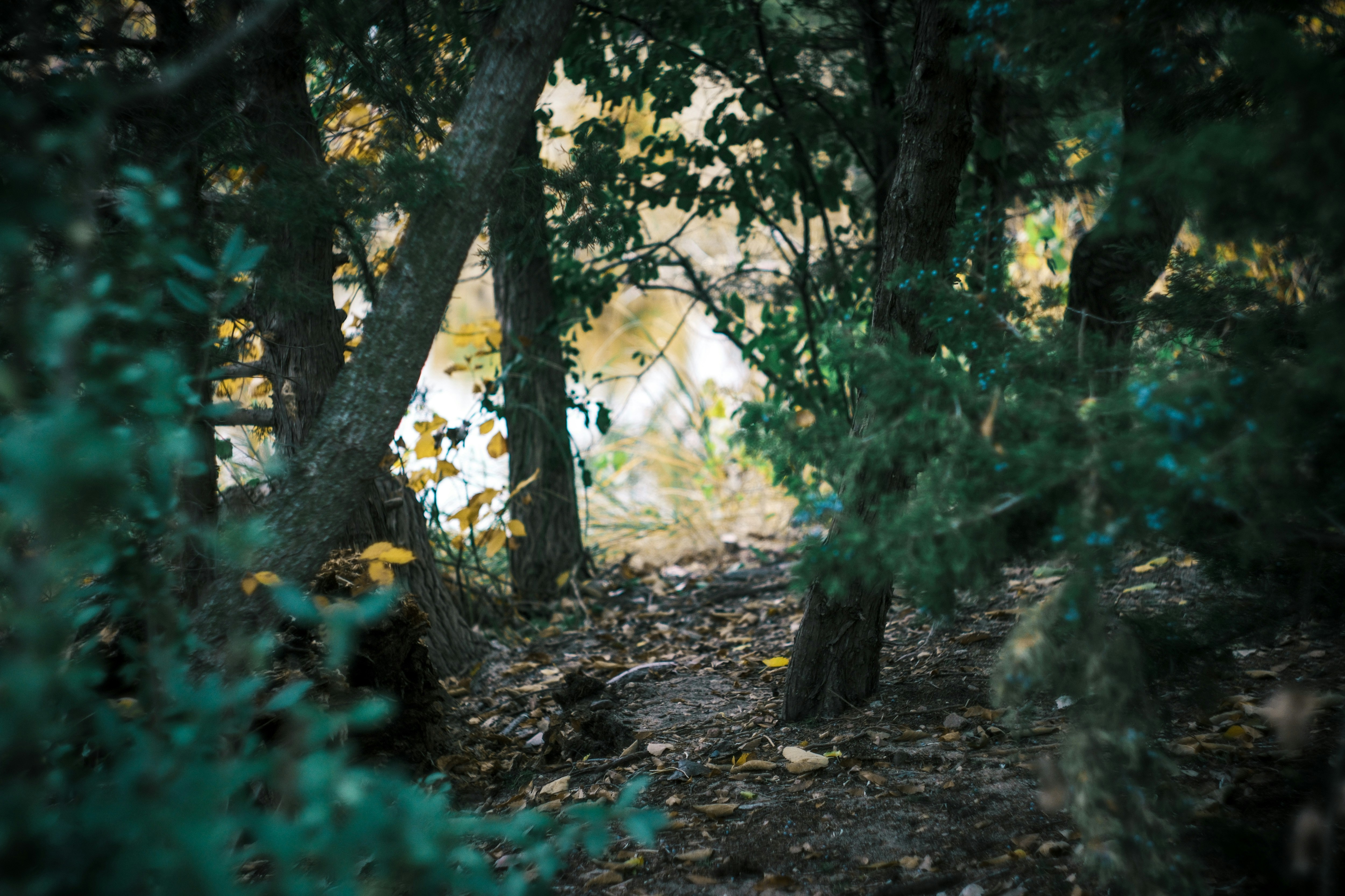 Photo by consoledotlog