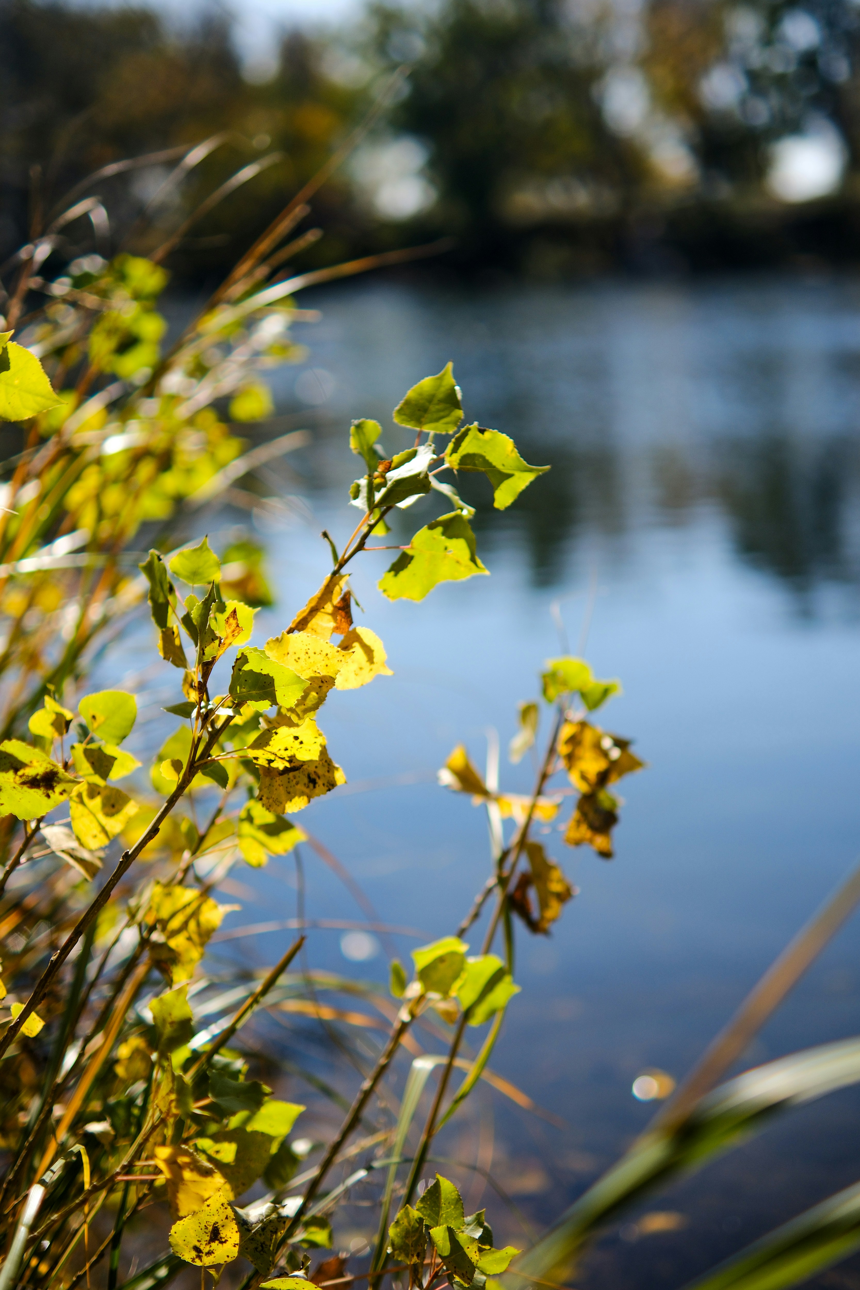 Photo by consoledotlog