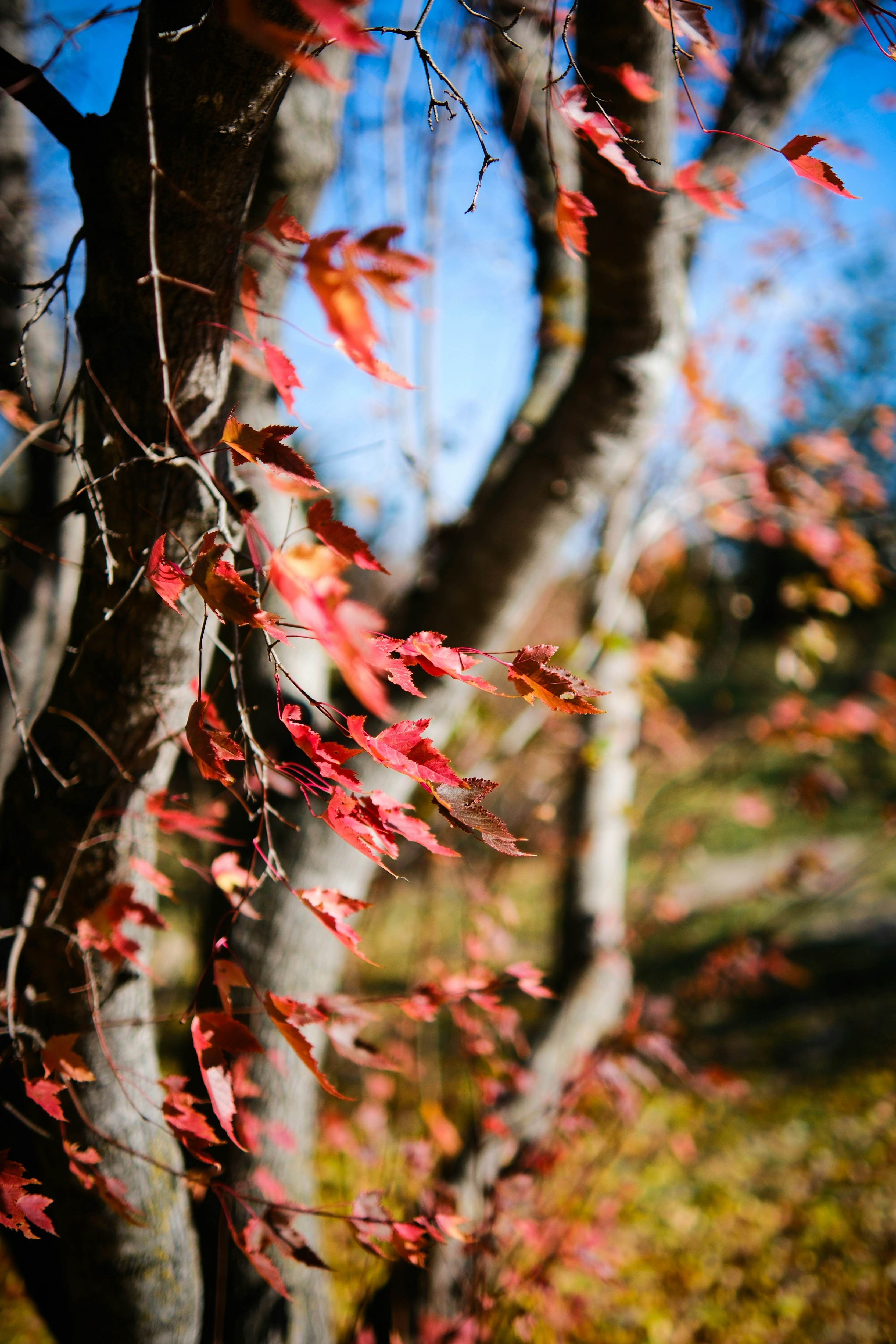 Photo by consoledotlog