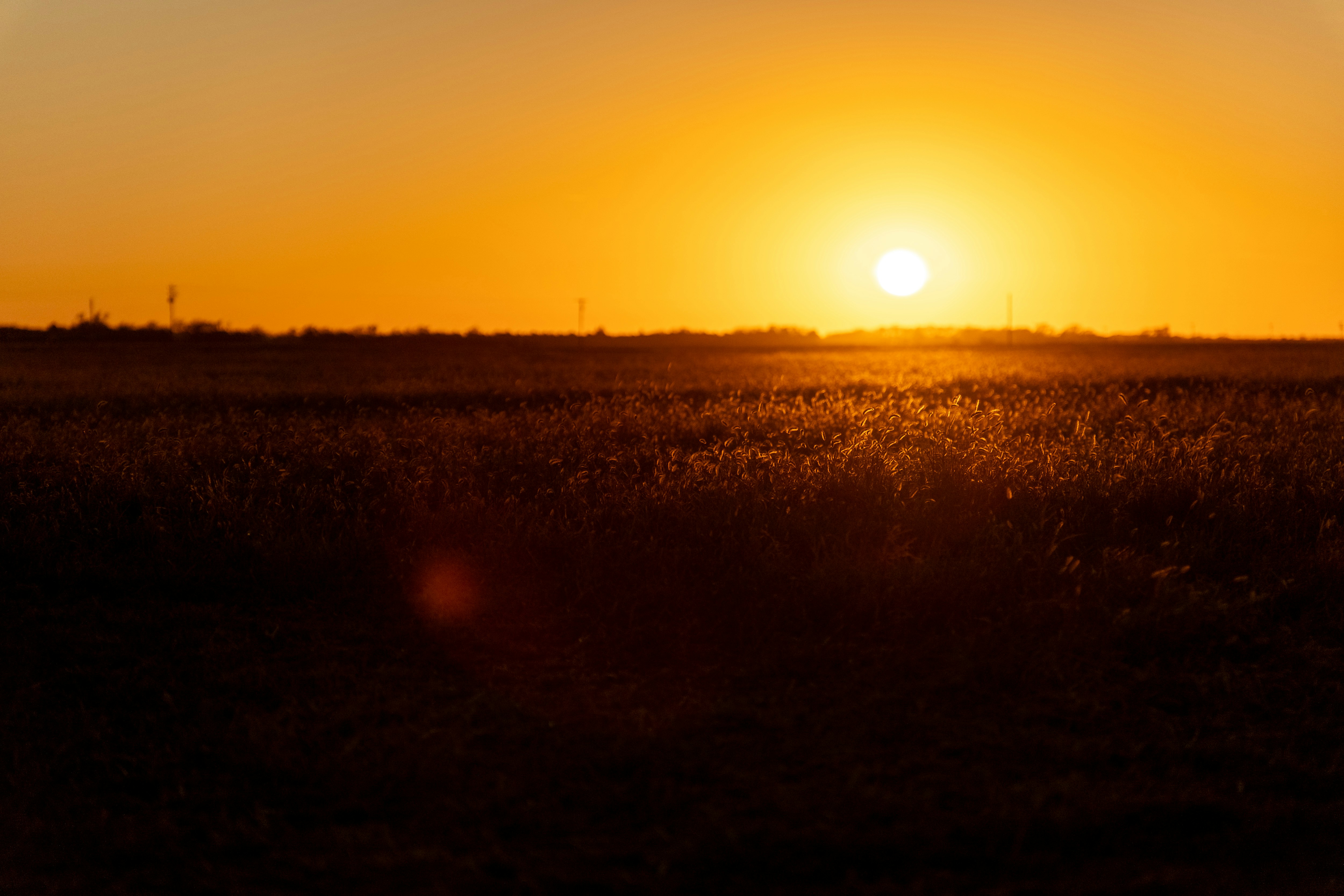 Photo by consoledotlog