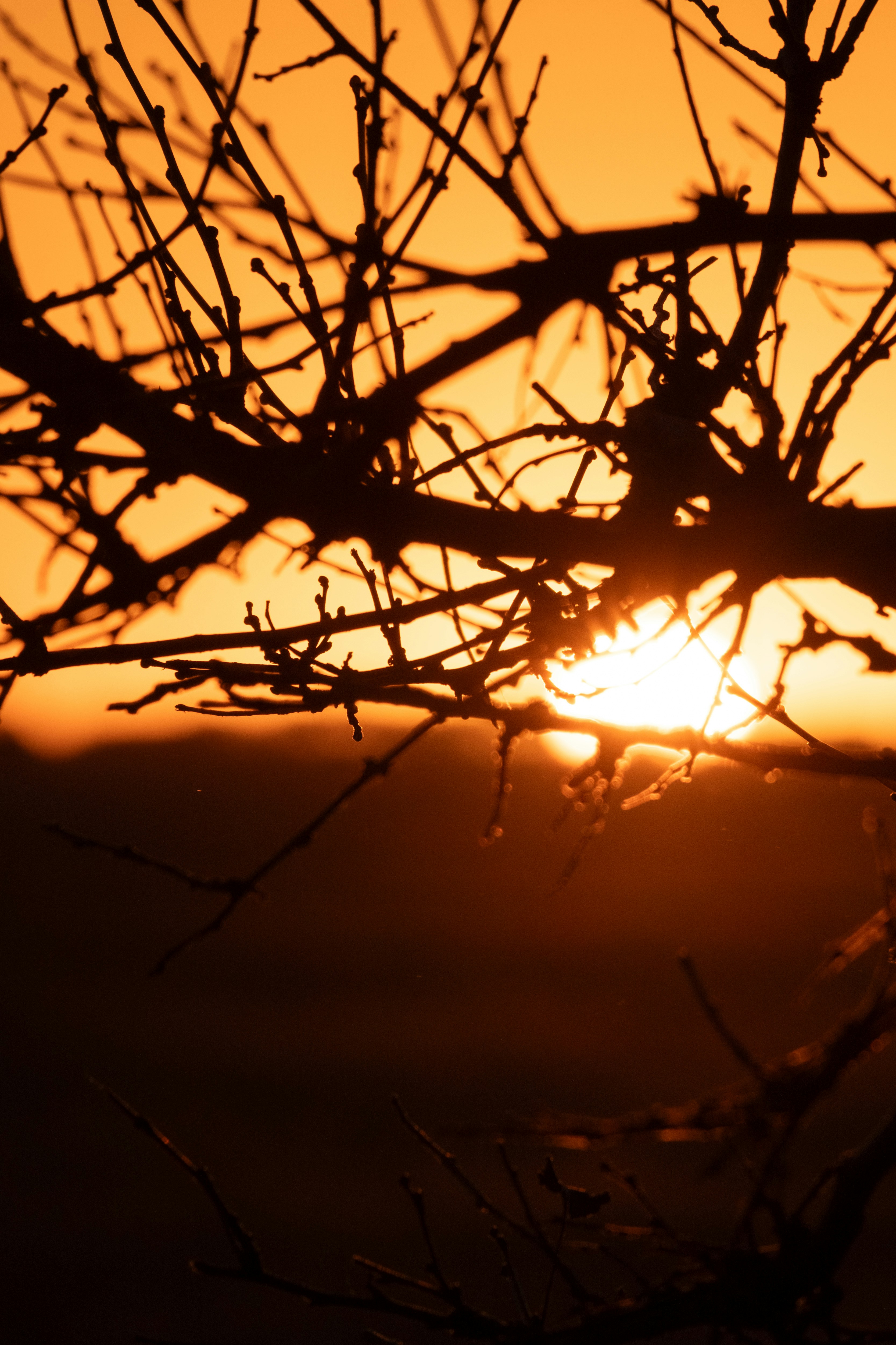 Photo by consoledotlog