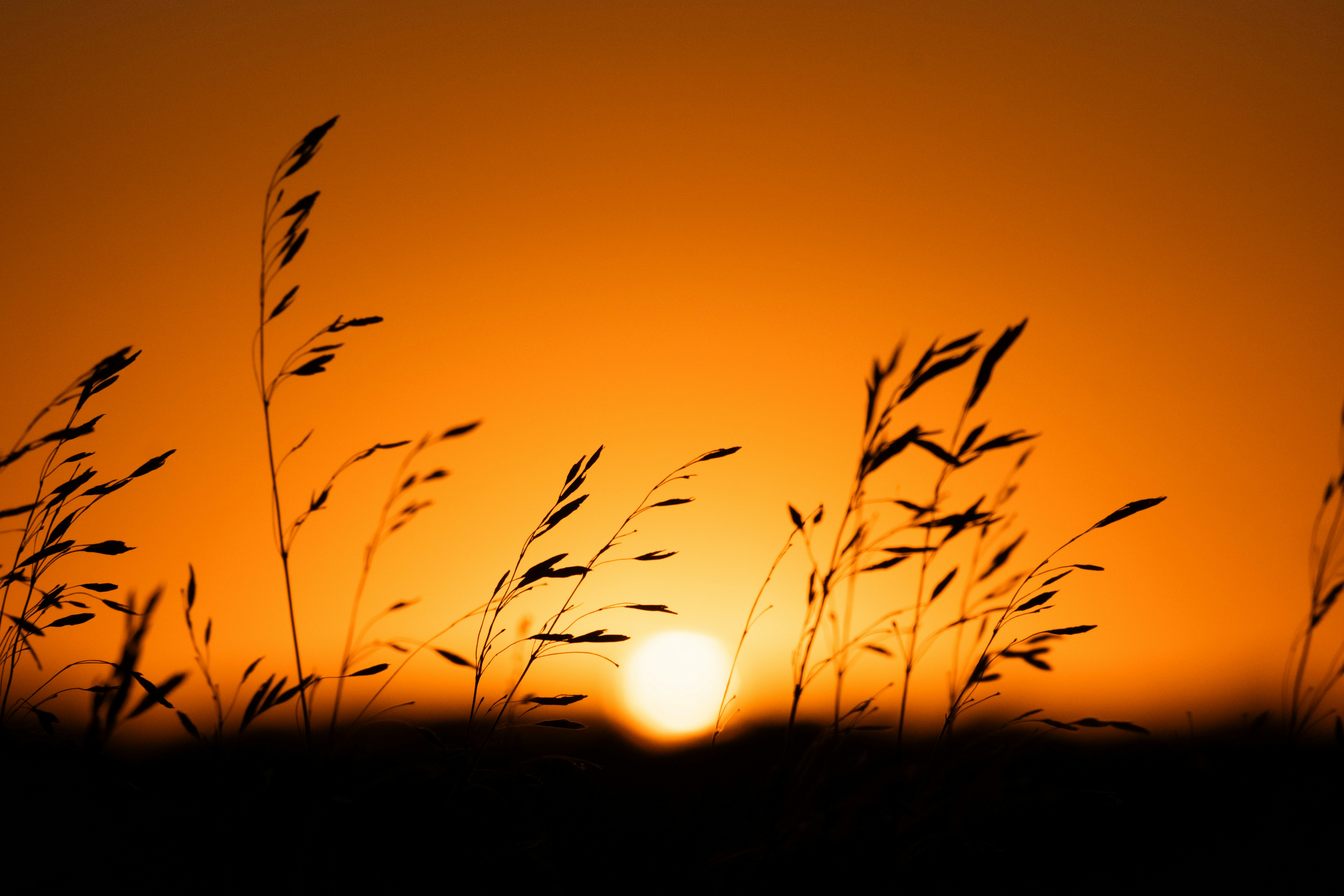 Photo by consoledotlog