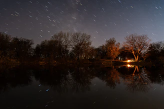 Starry night sky over a peaceful forest with a glowing campfire.