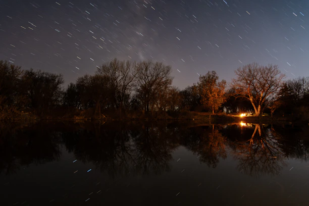 Starry night sky over a peaceful forest with a glowing campfire.