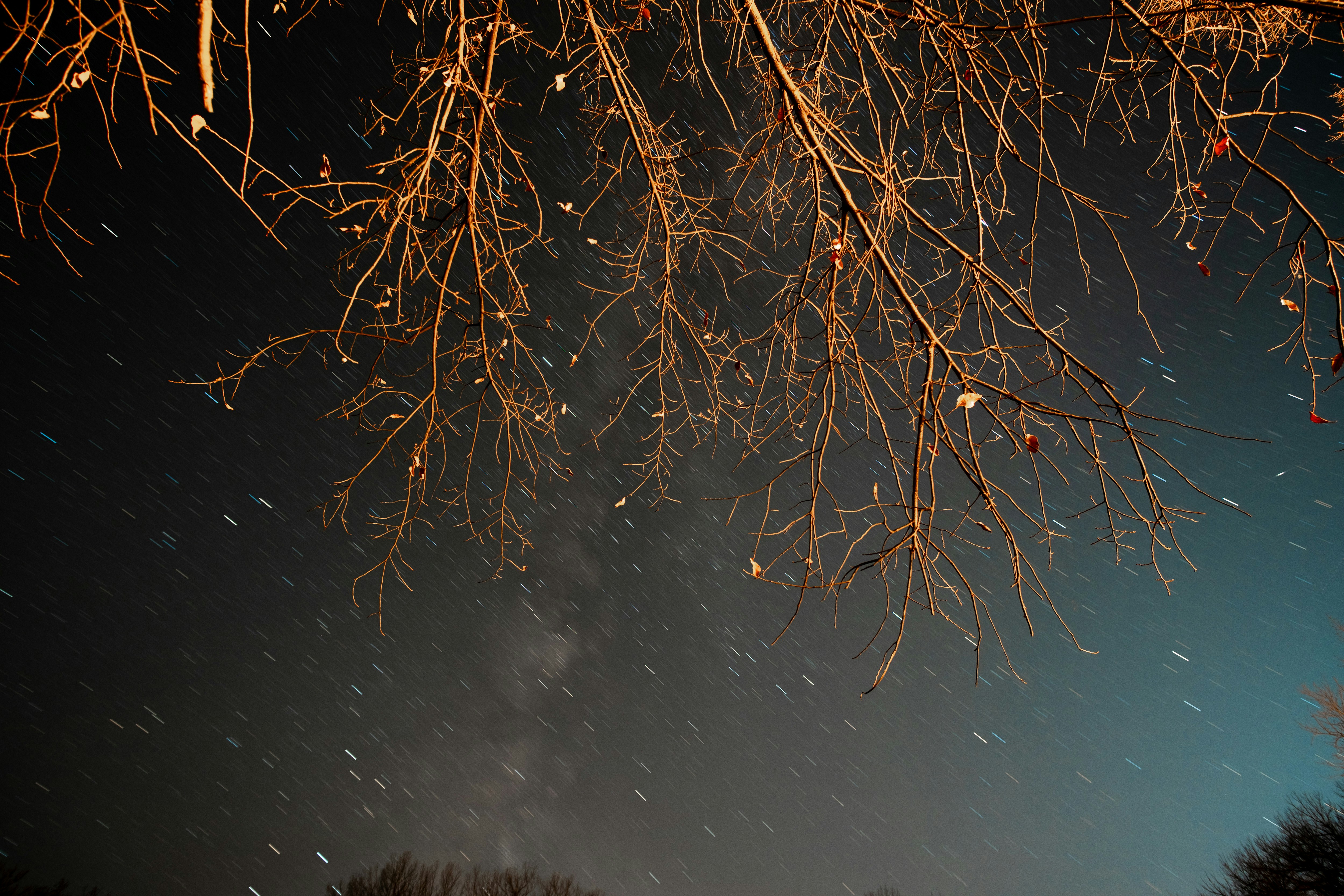 Photo by consoledotlog