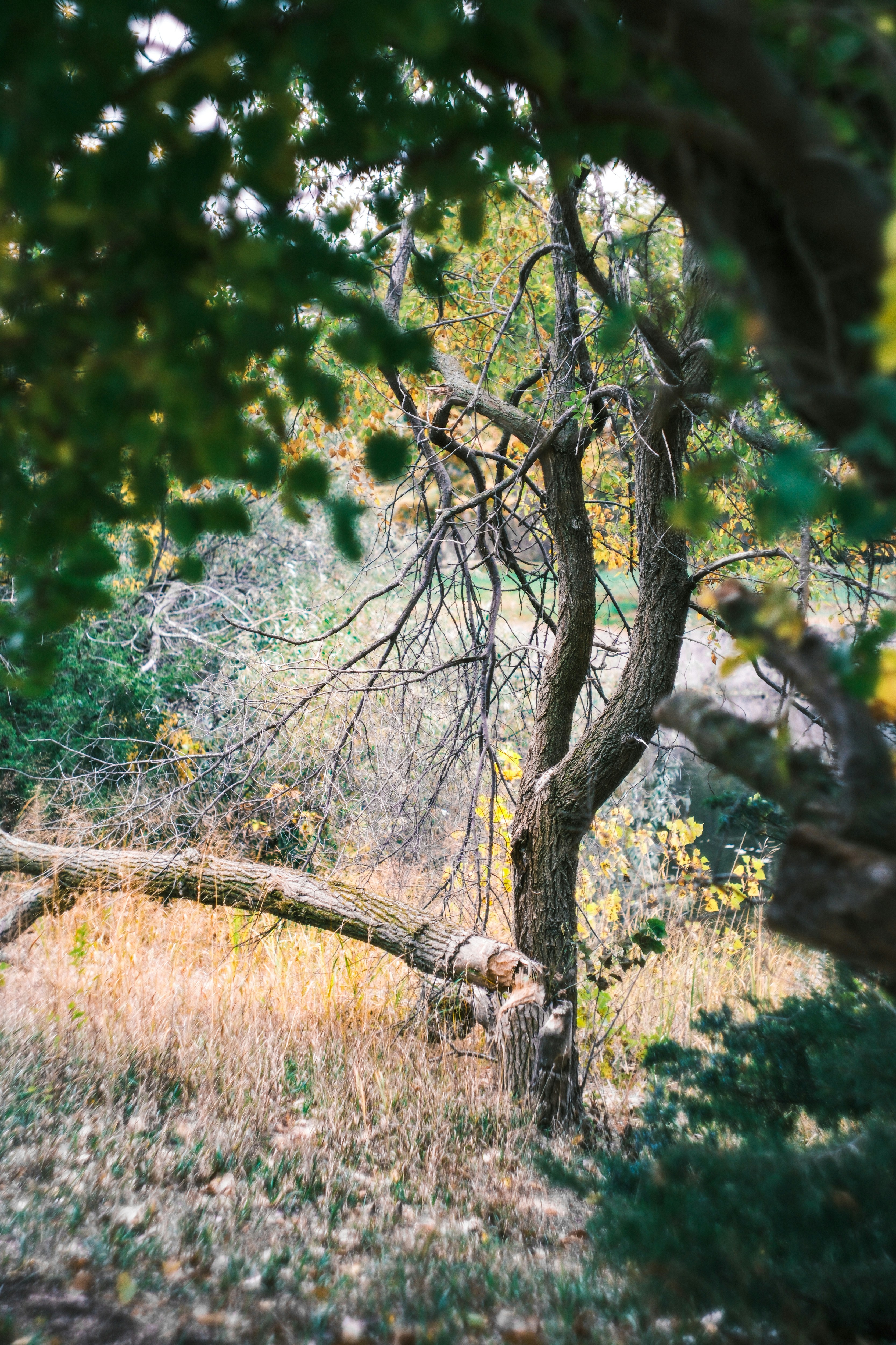 Photo by consoledotlog