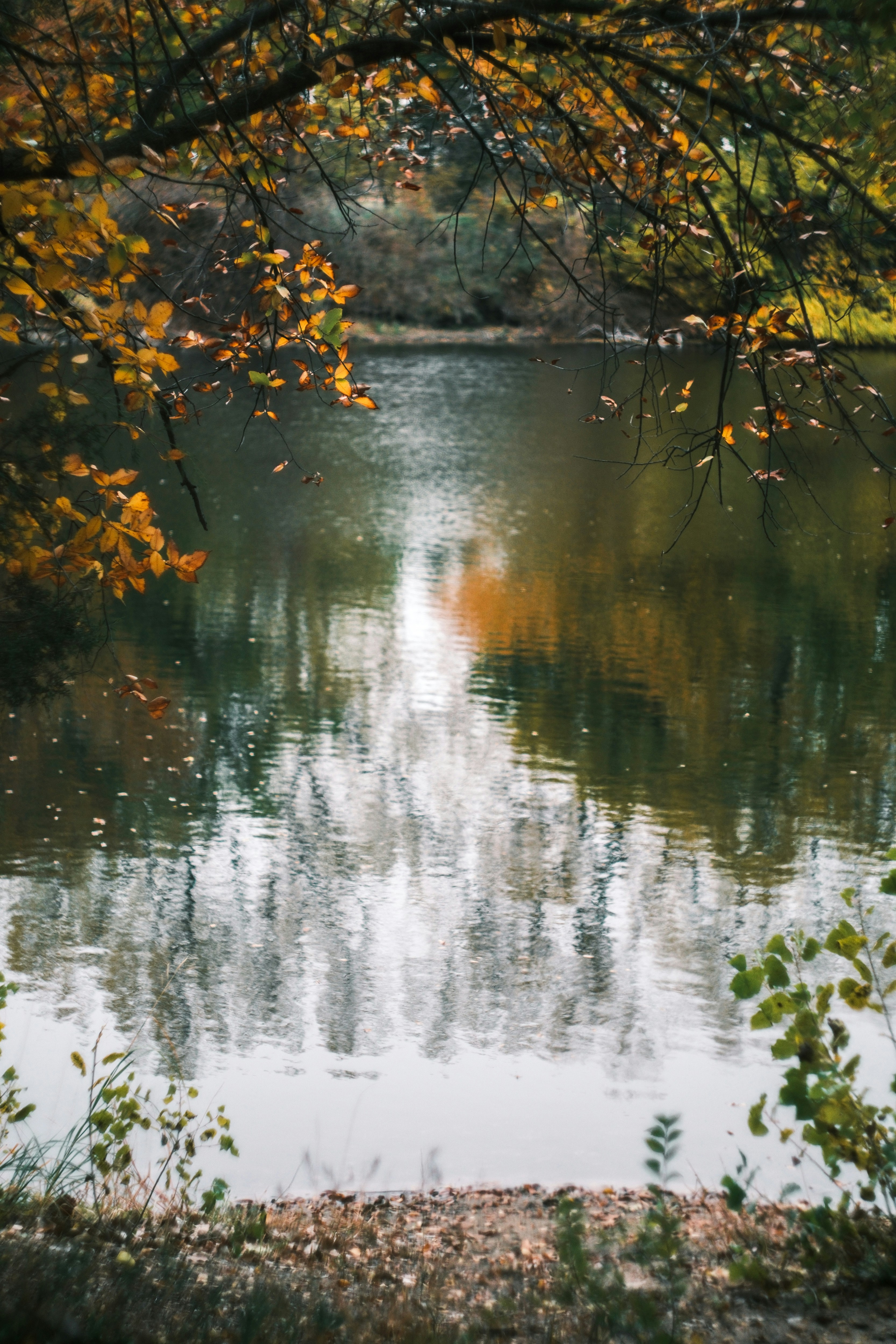 Photo by consoledotlog