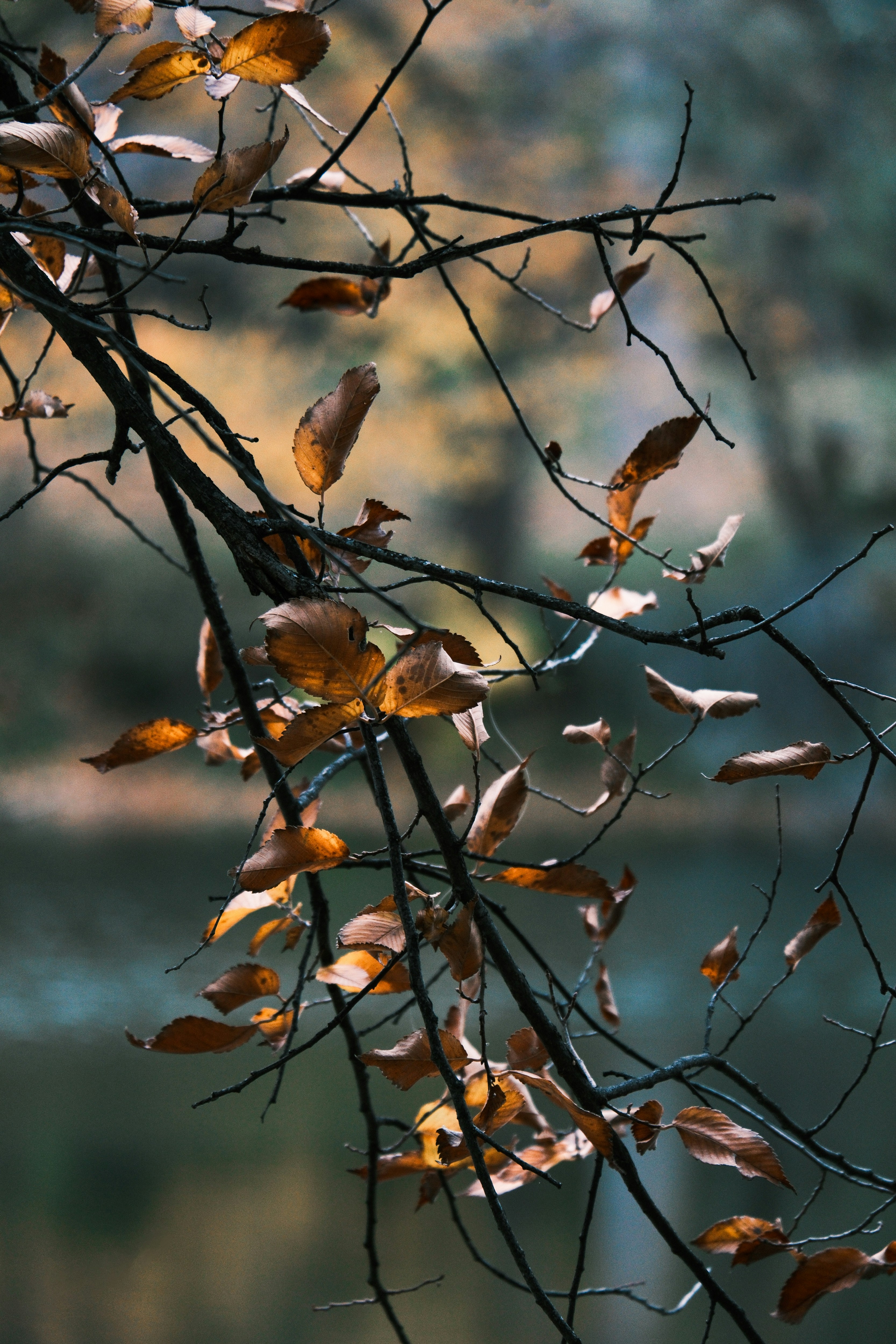 Photo by consoledotlog