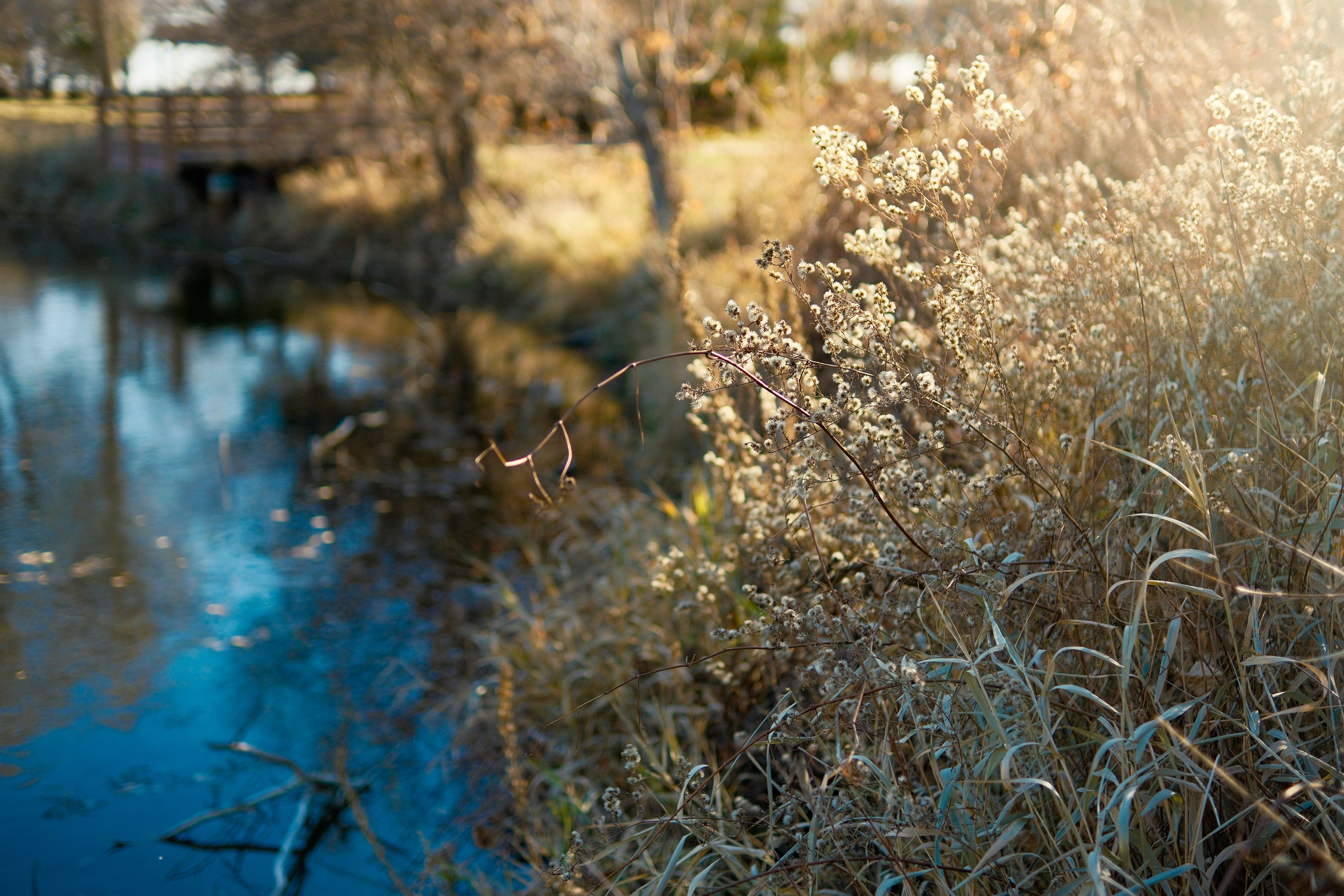 Photo by consoledotlog