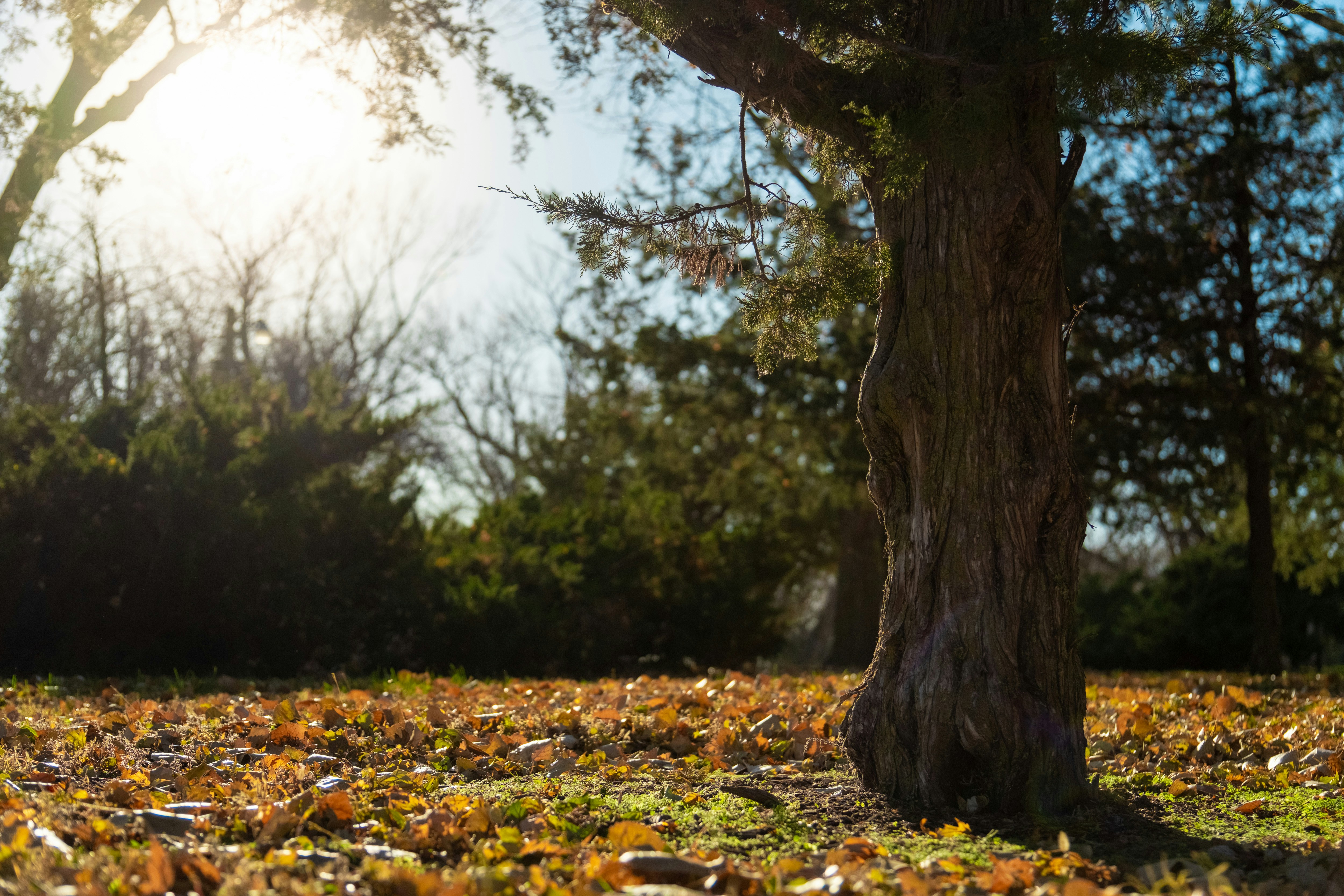 Photo by consoledotlog