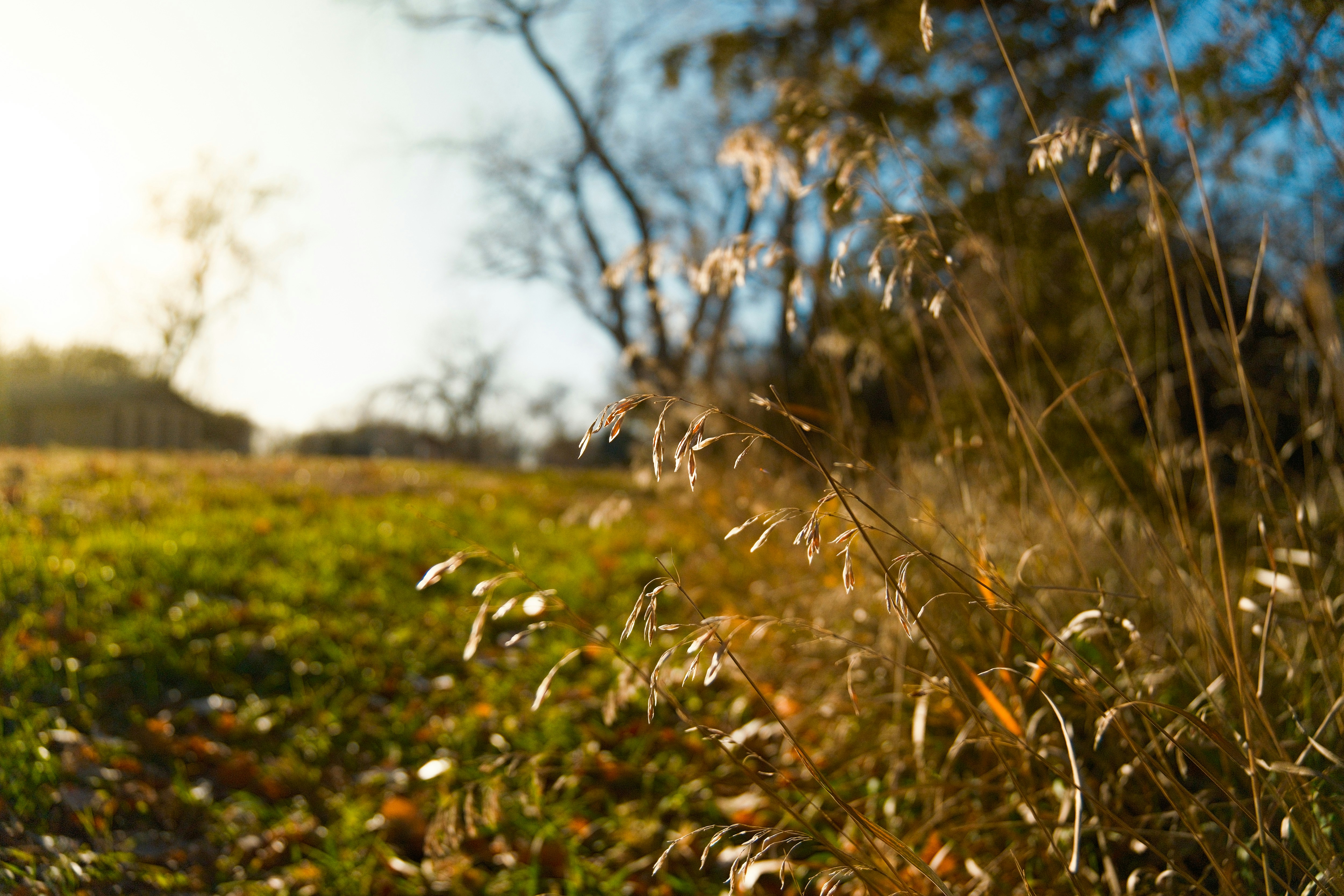 Photo by consoledotlog