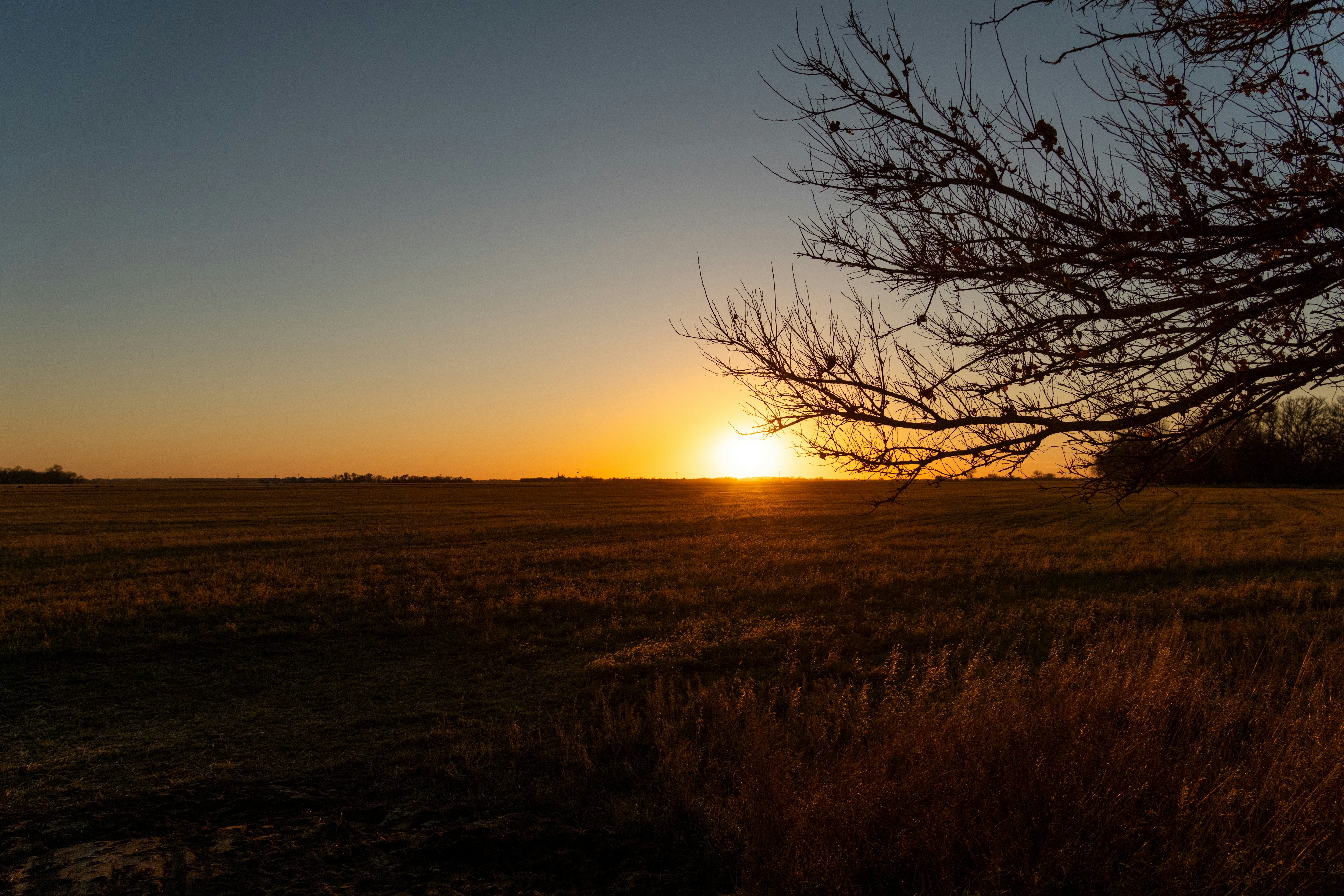 Photo by consoledotlog