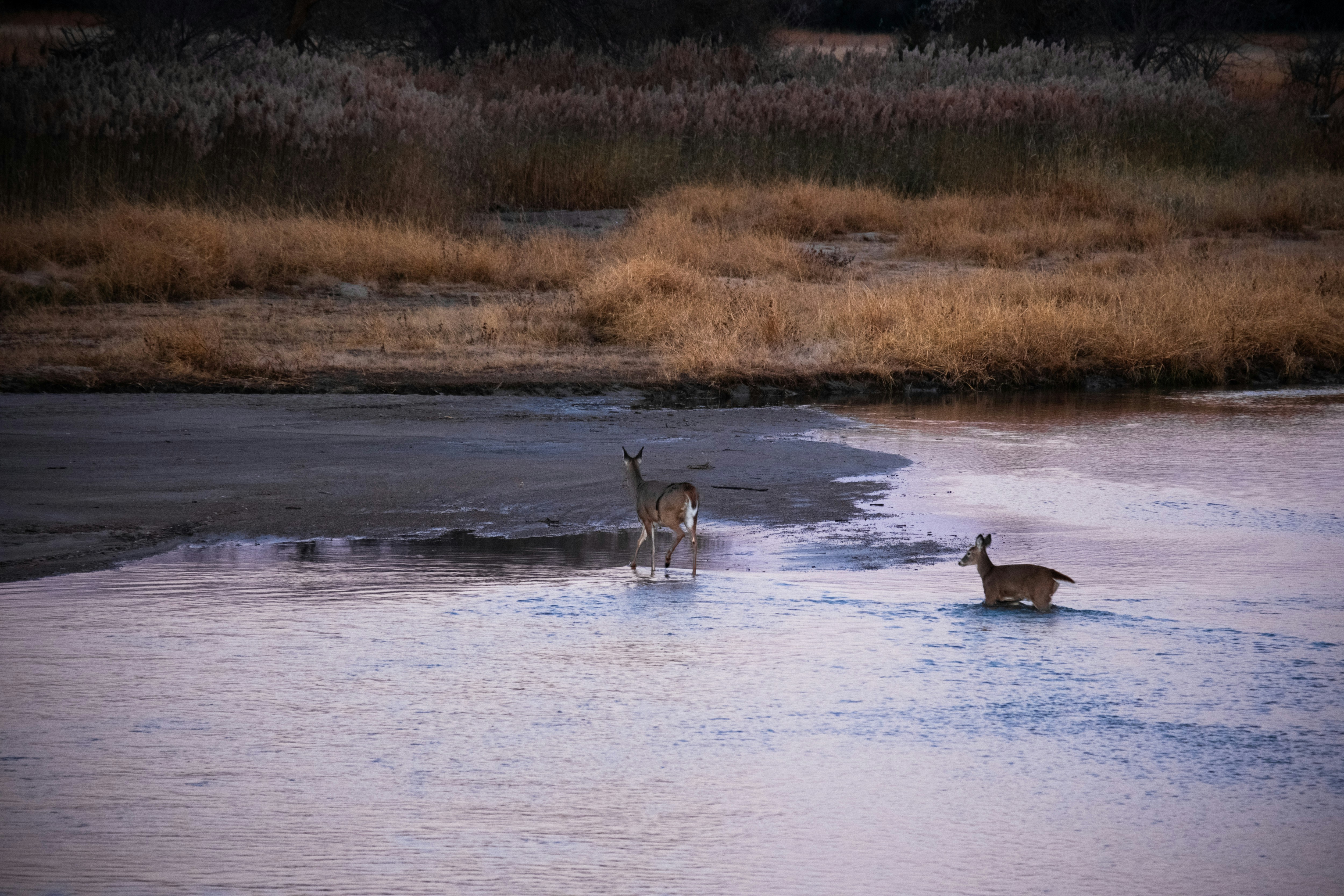 Photo by consoledotlog