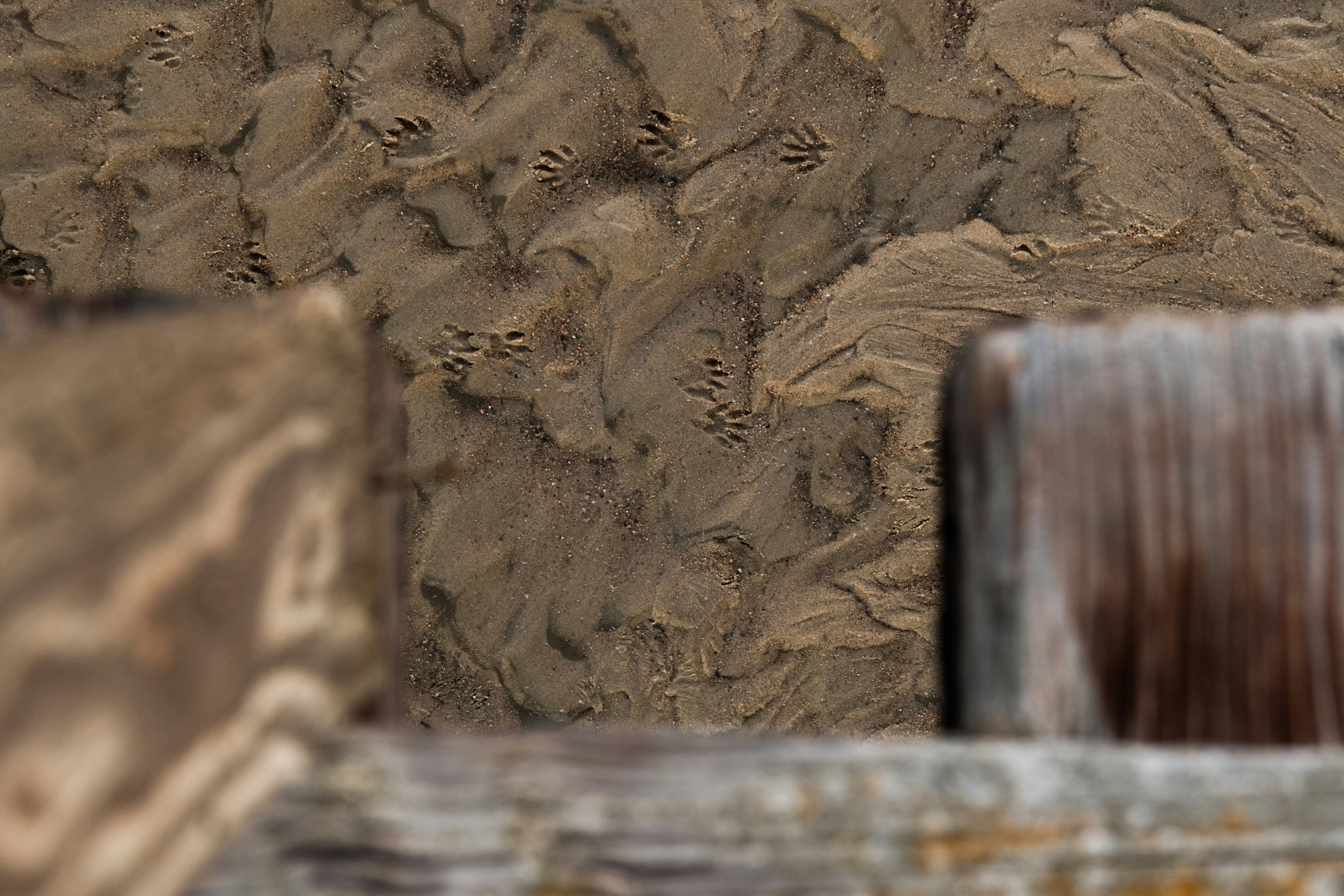 Photo by consoledotlog