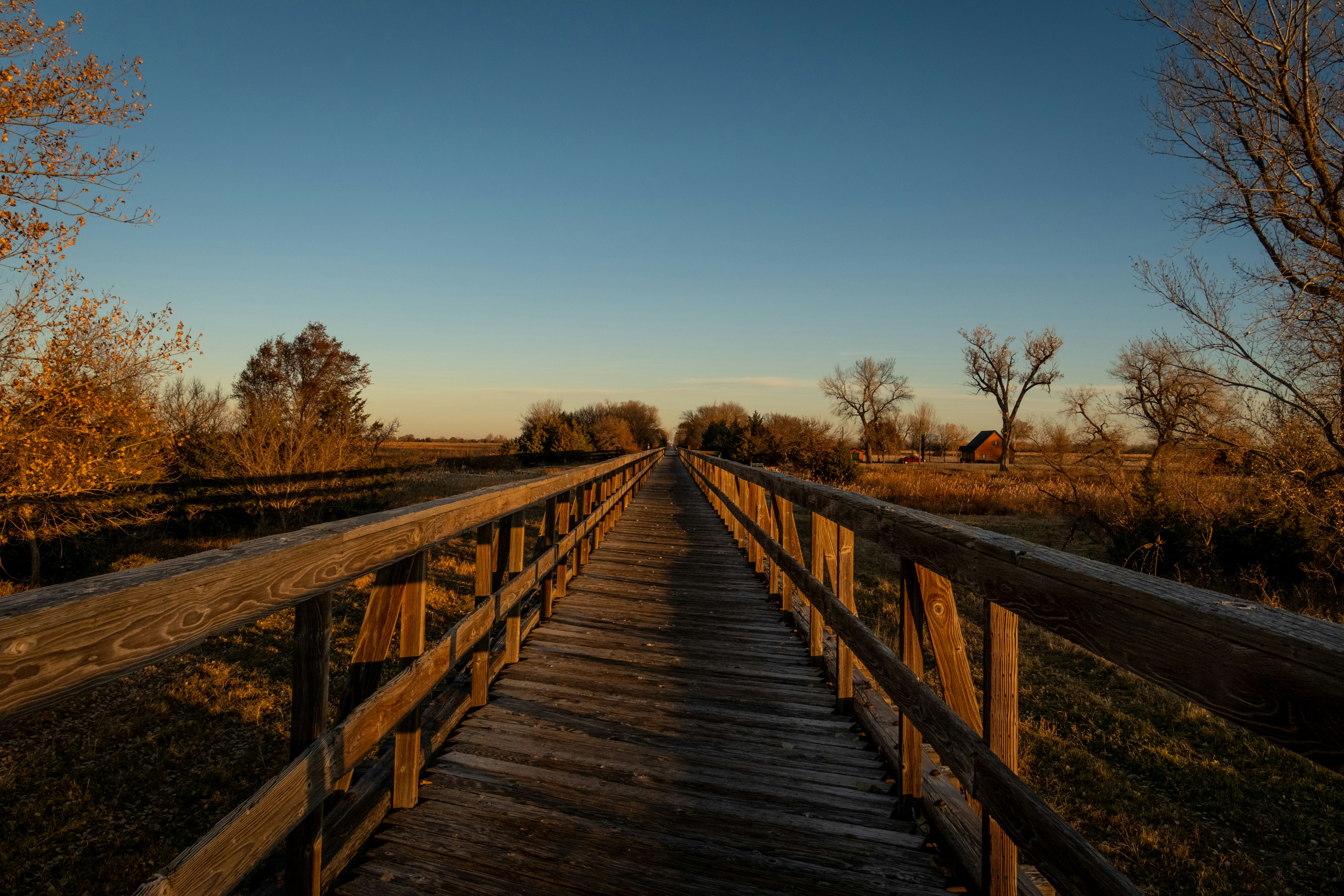 Photo by consoledotlog