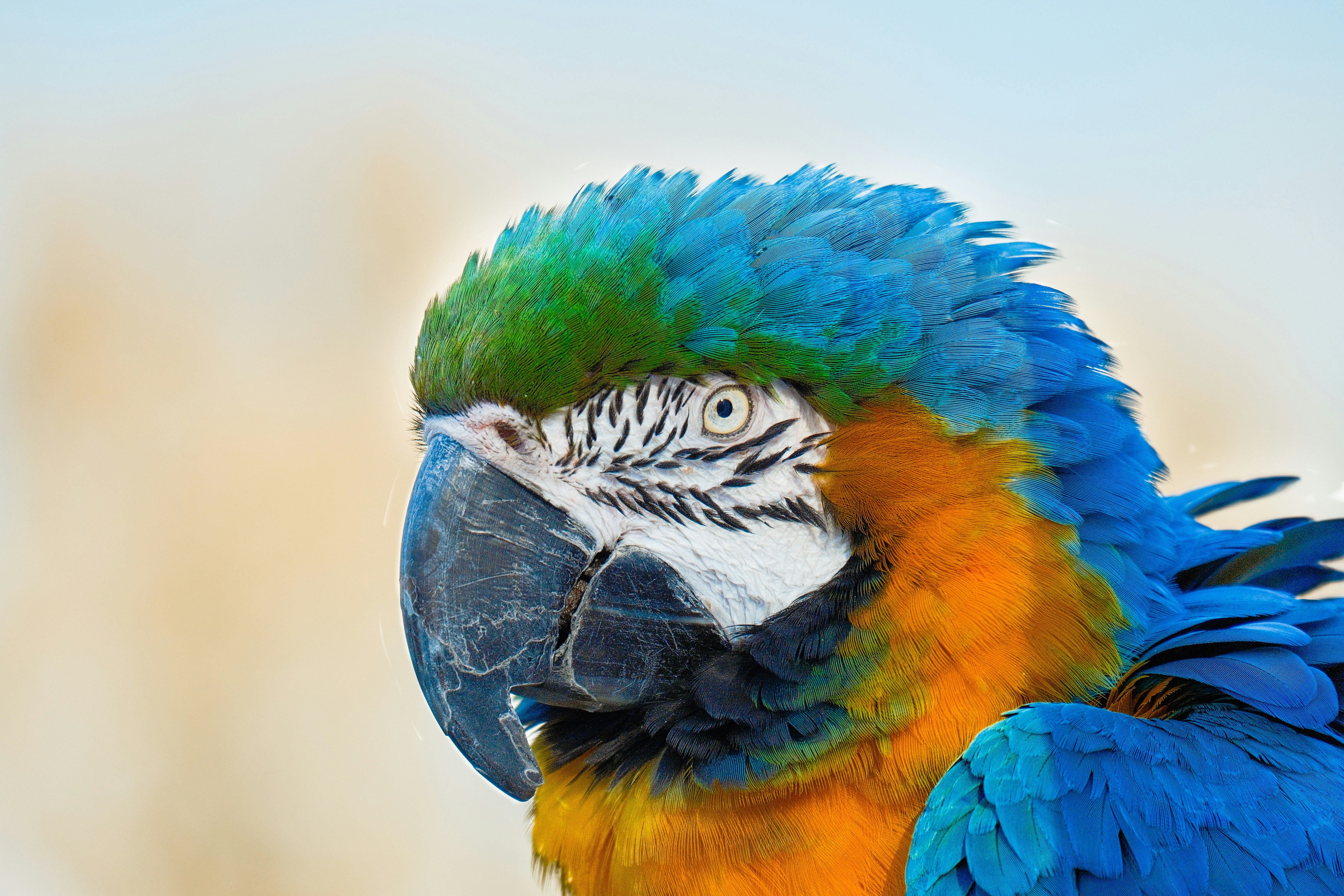 Photo by consoledotlog