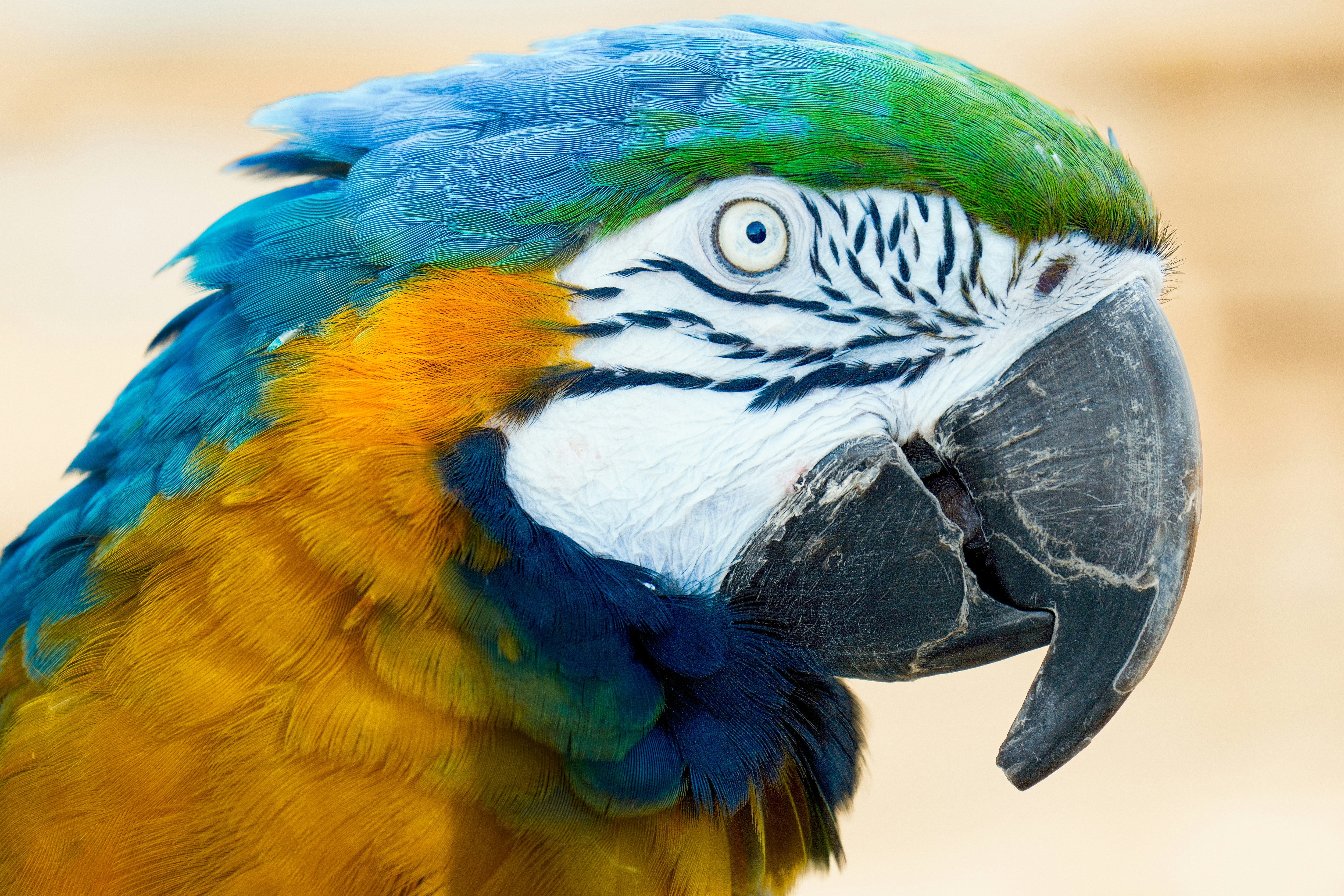 Photo by consoledotlog