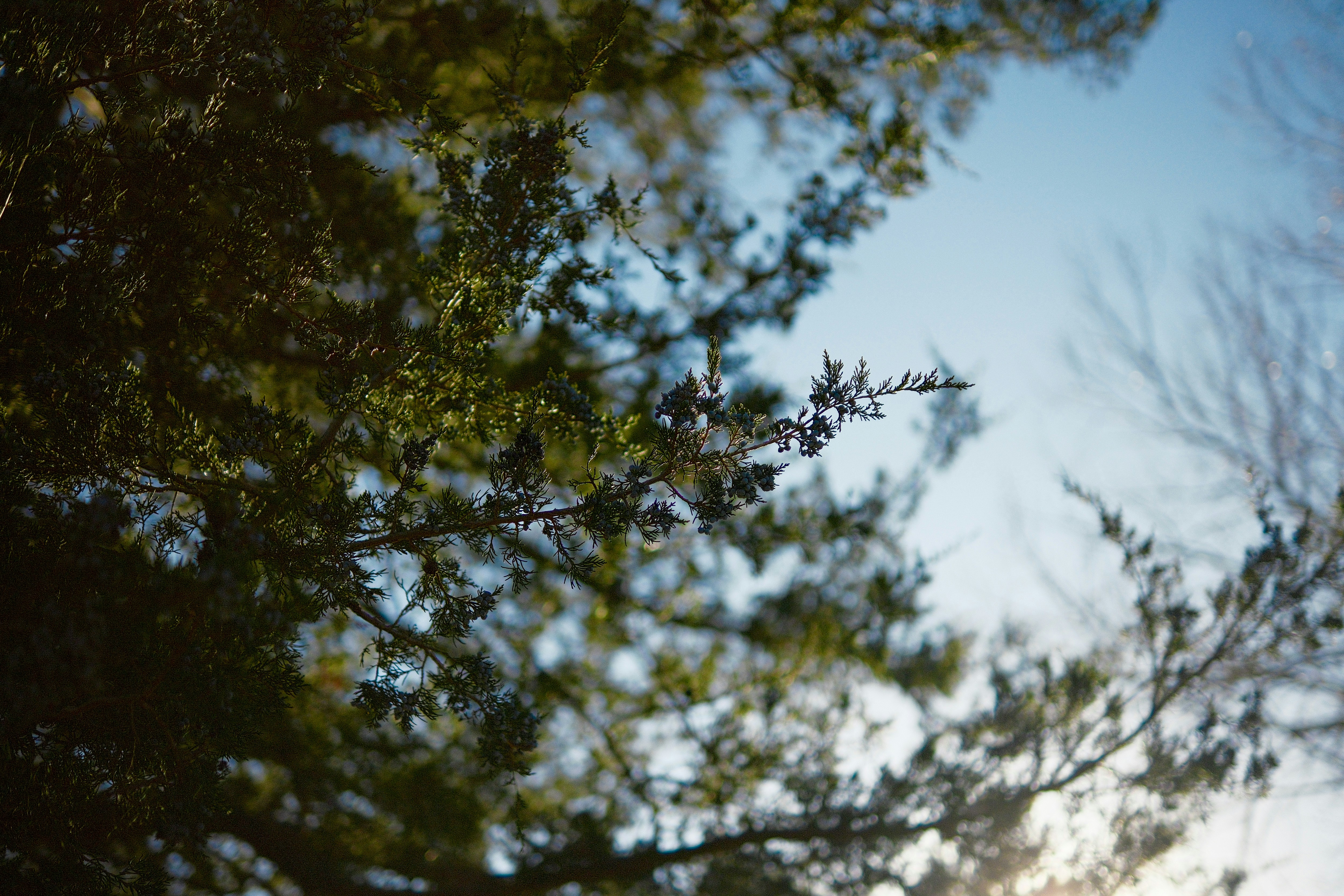 Photo by consoledotlog