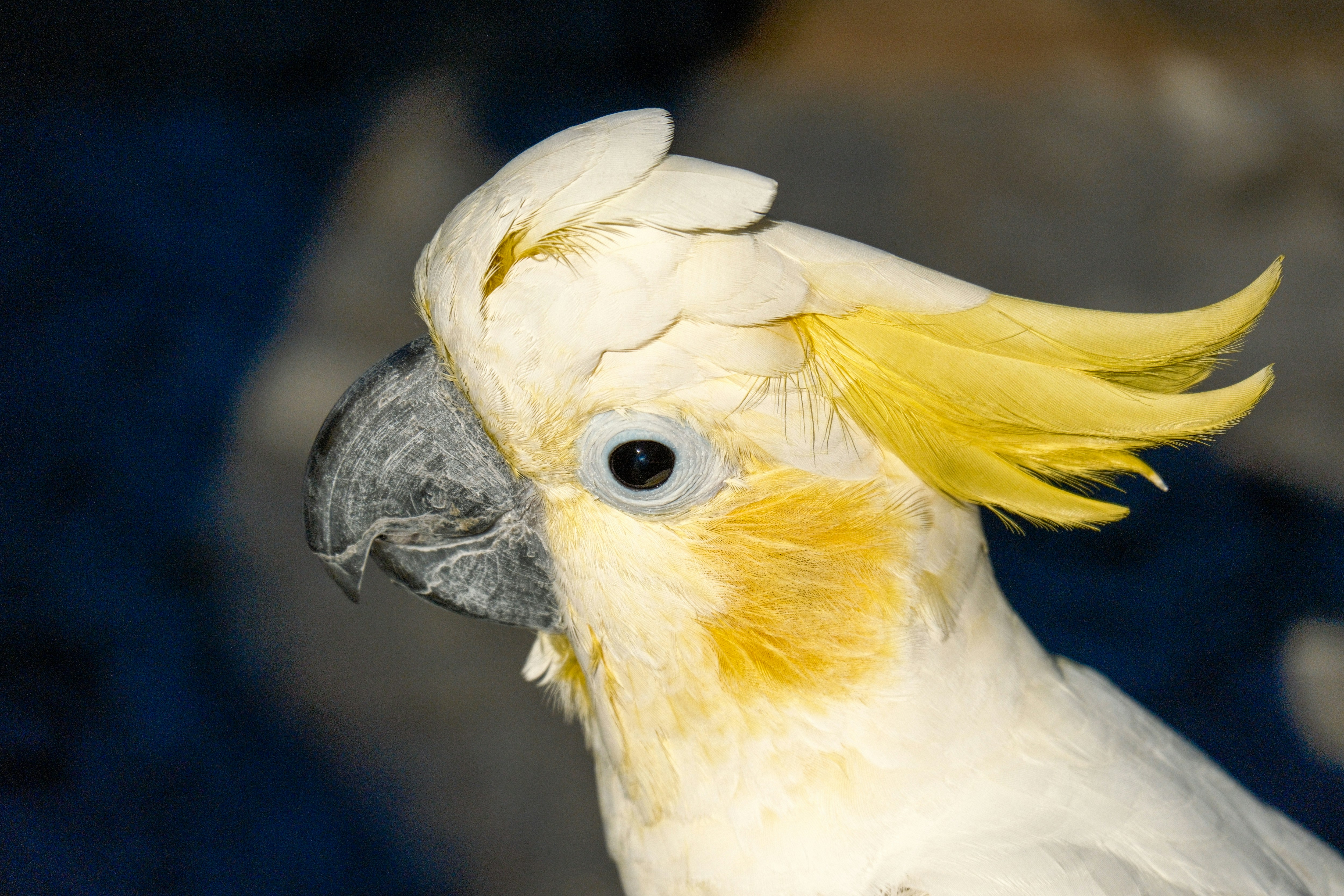 Photo by consoledotlog