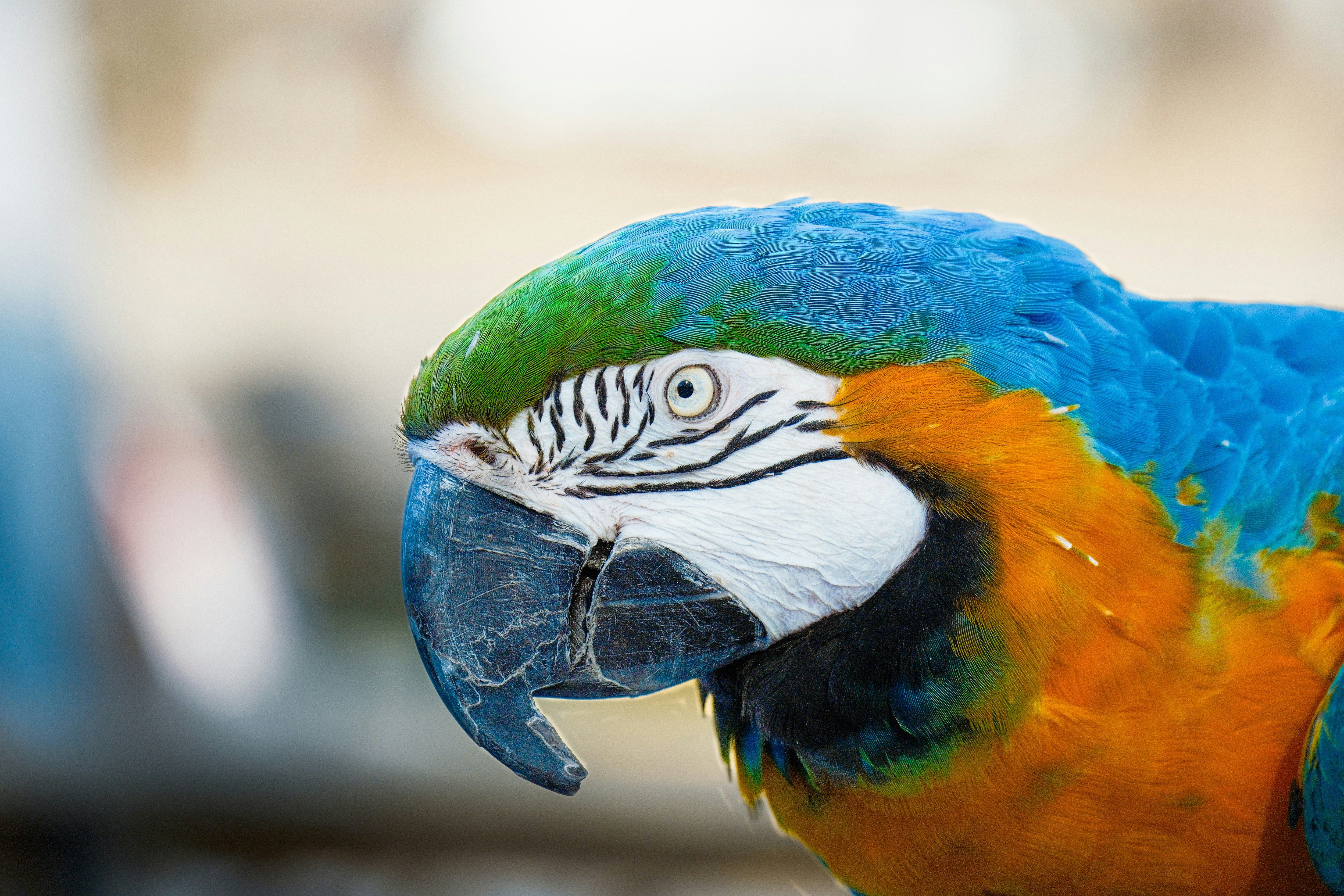 Photo by consoledotlog