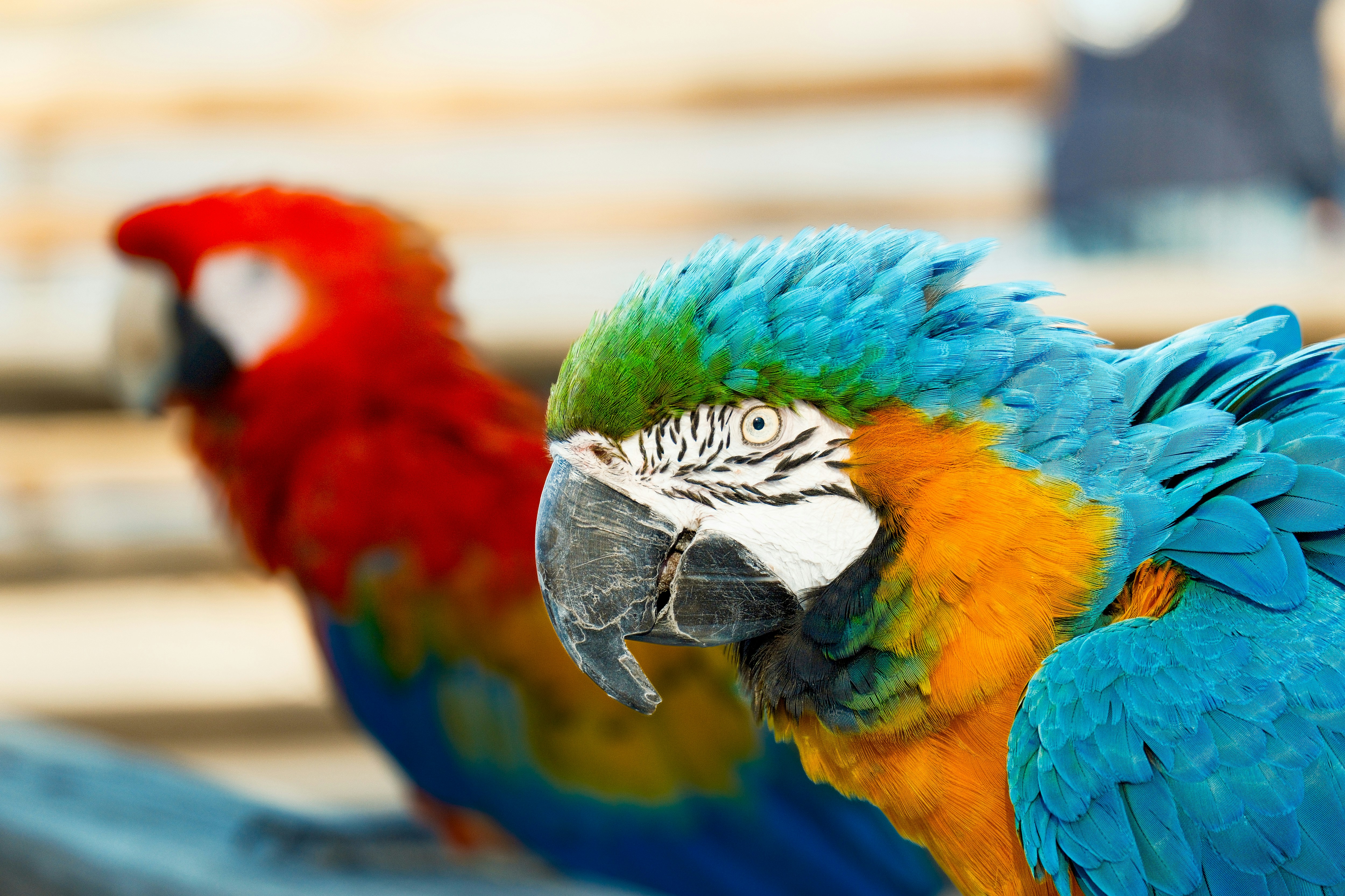 Photo by consoledotlog