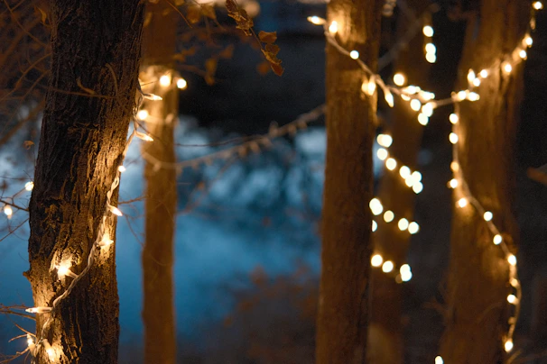 Twinkling fairy lights strung between trees, casting a warm glow over the evening reception in the woods.