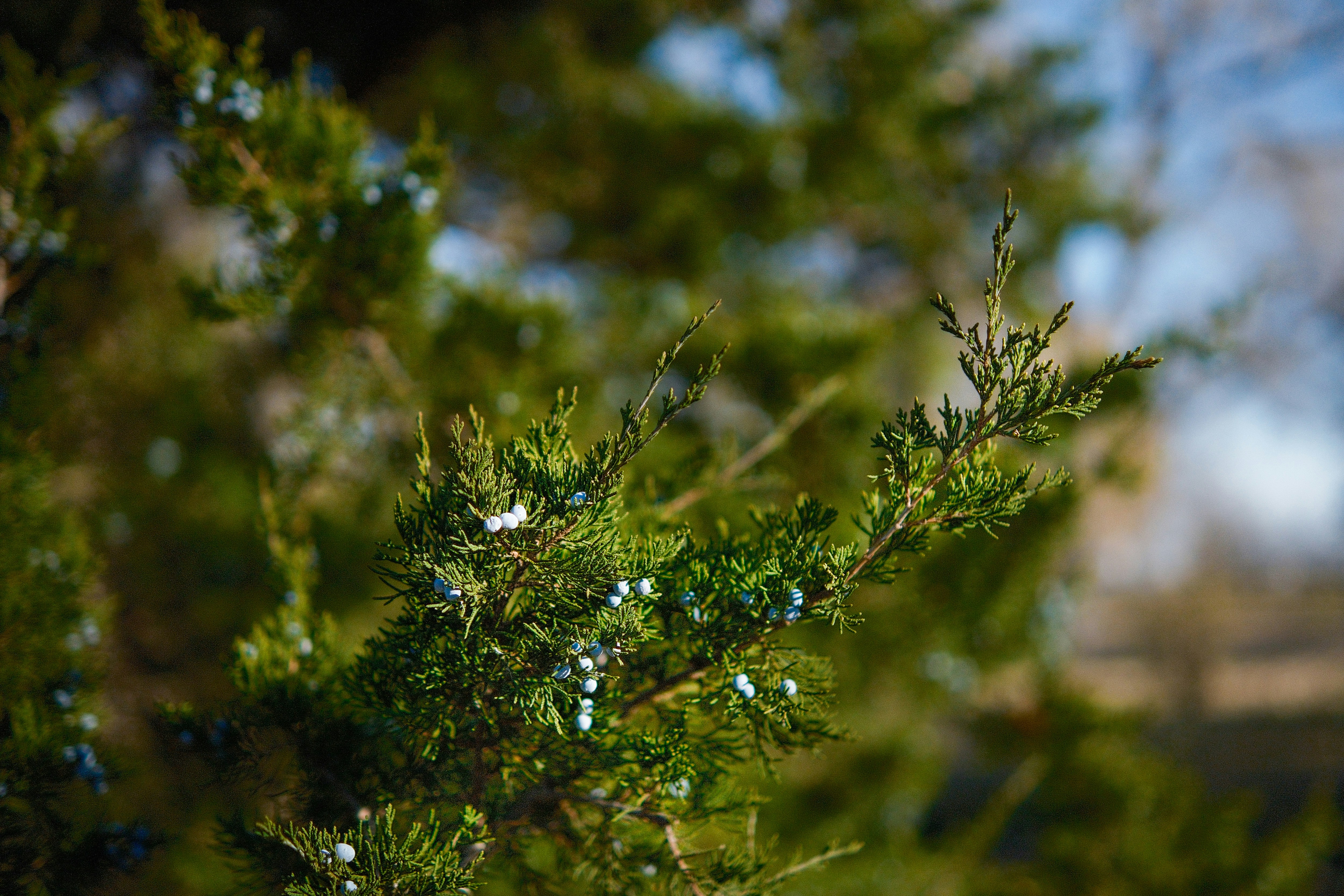 Photo by consoledotlog