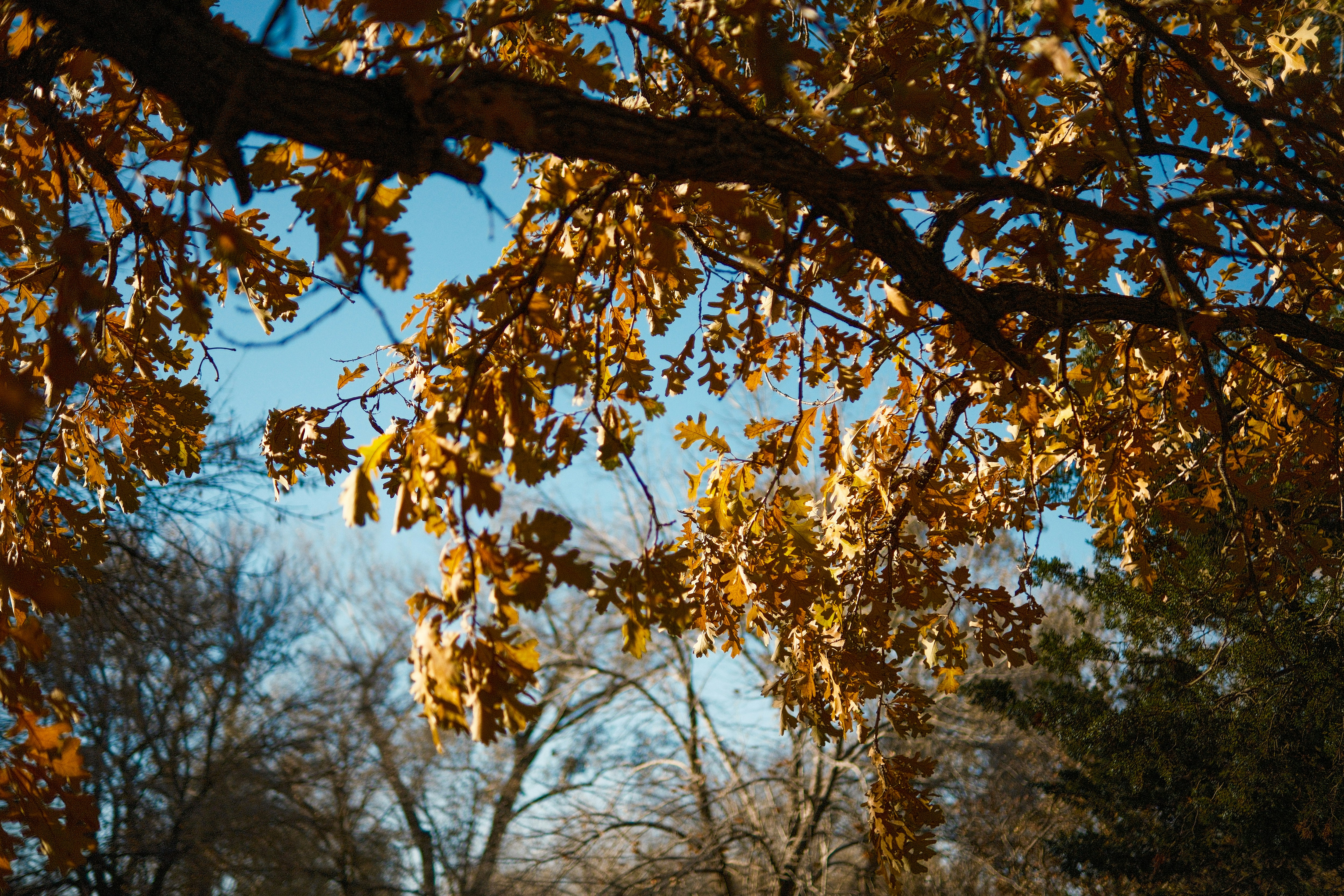Photo by consoledotlog