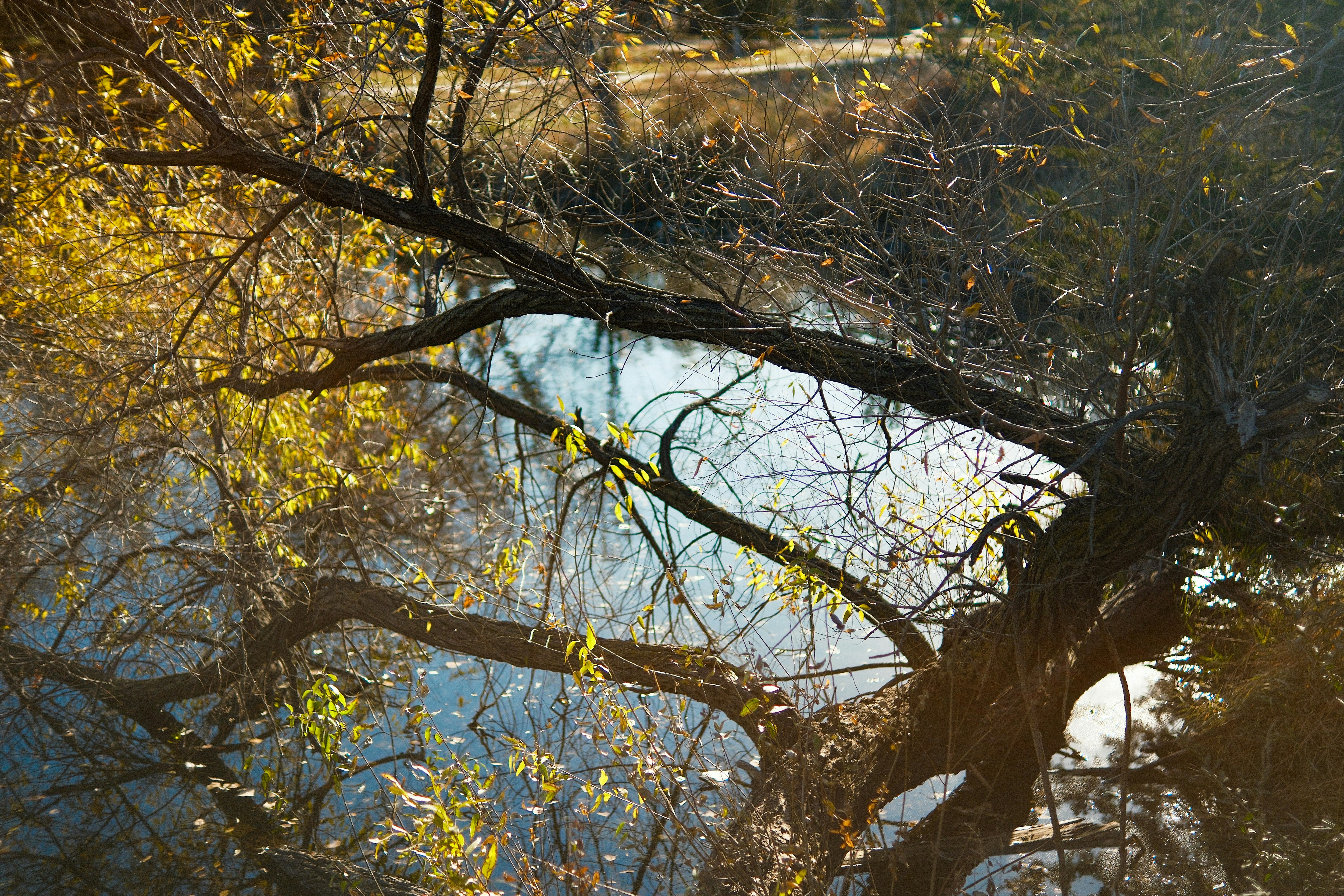 Photo by consoledotlog