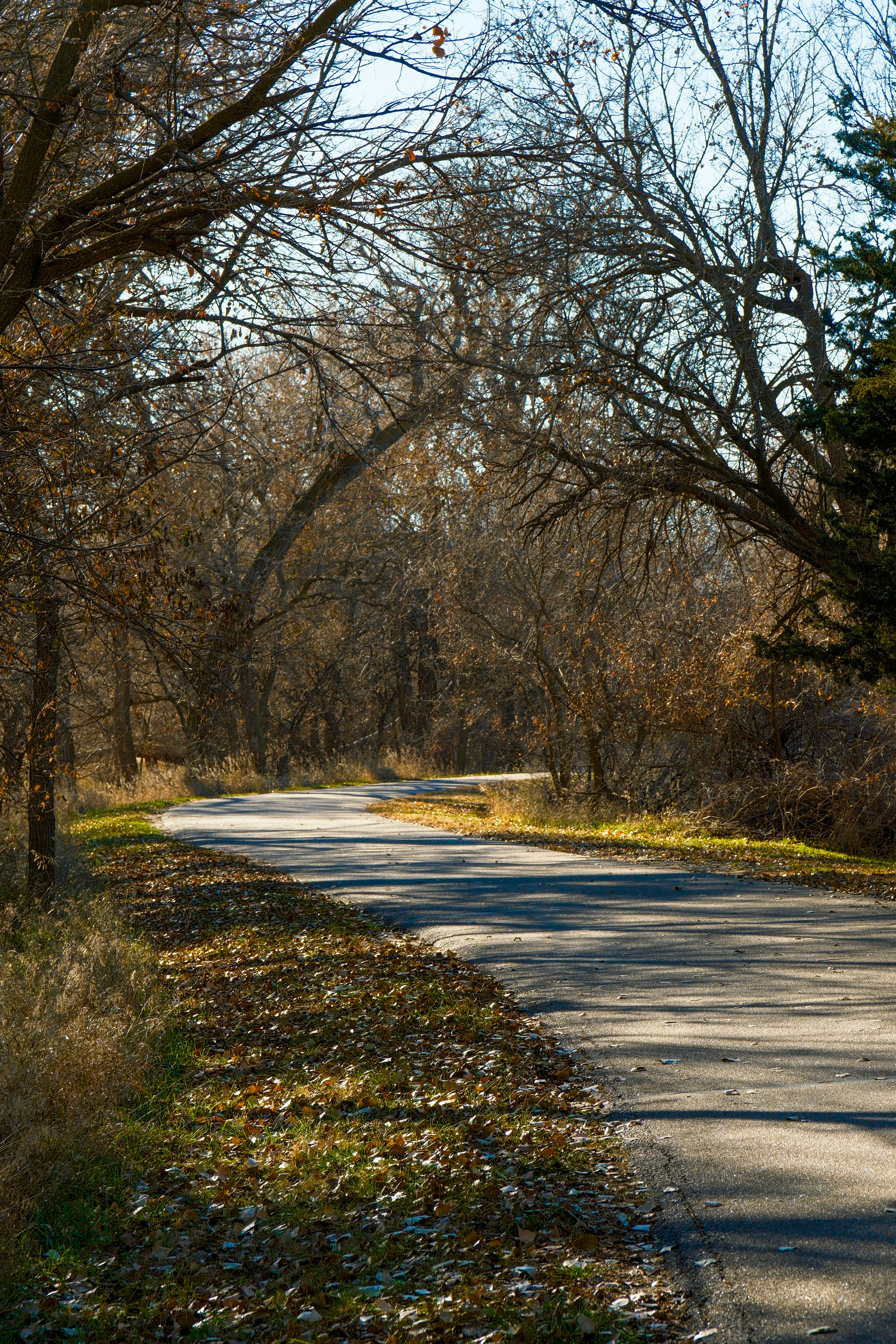 Photo by consoledotlog