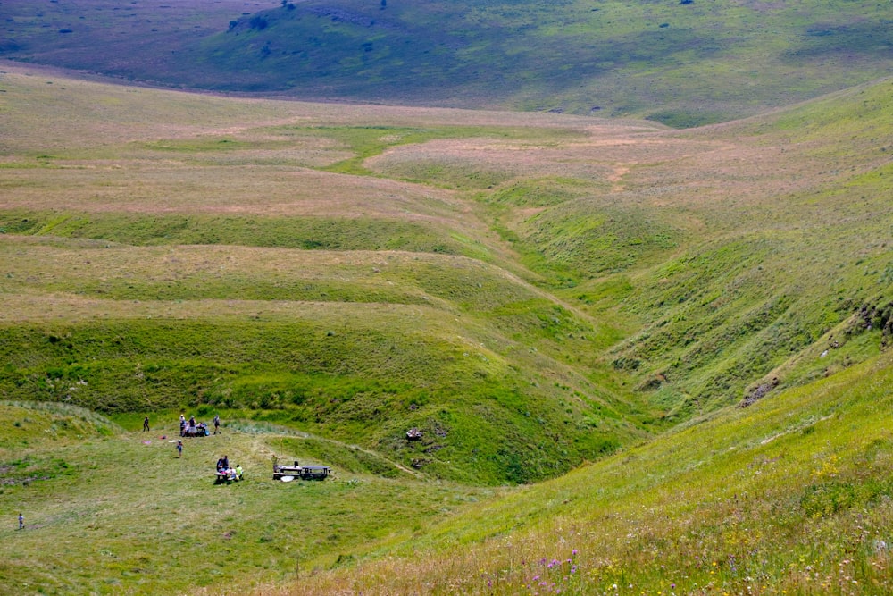 a group of people standing on top of a lush green hillside