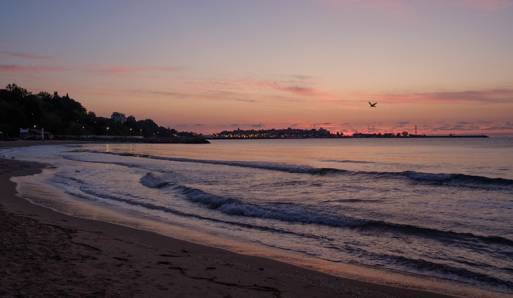 a bird flying over the ocean at sunset