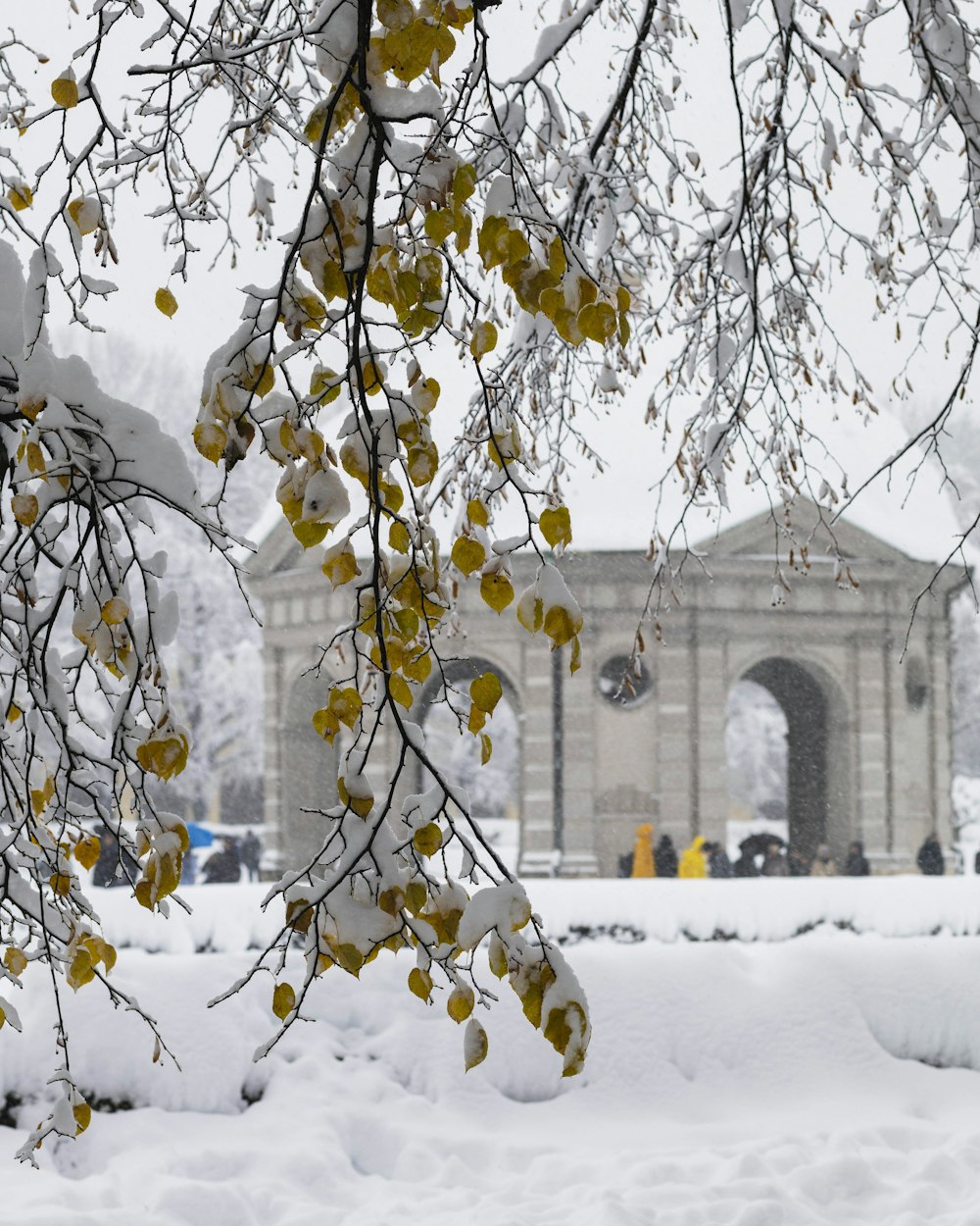 a snow covered park with a clock tower in the background