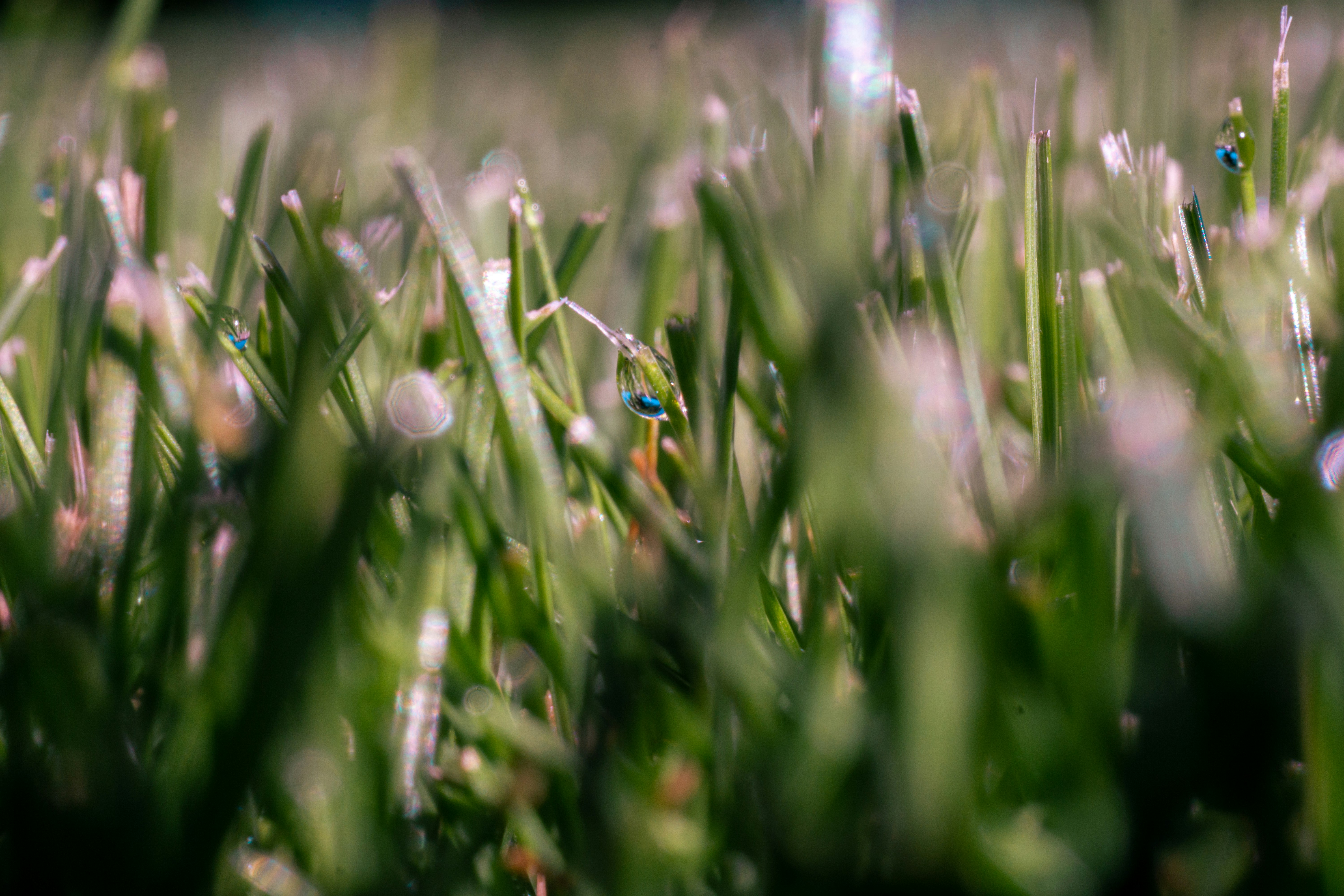 Photo by tvannoy