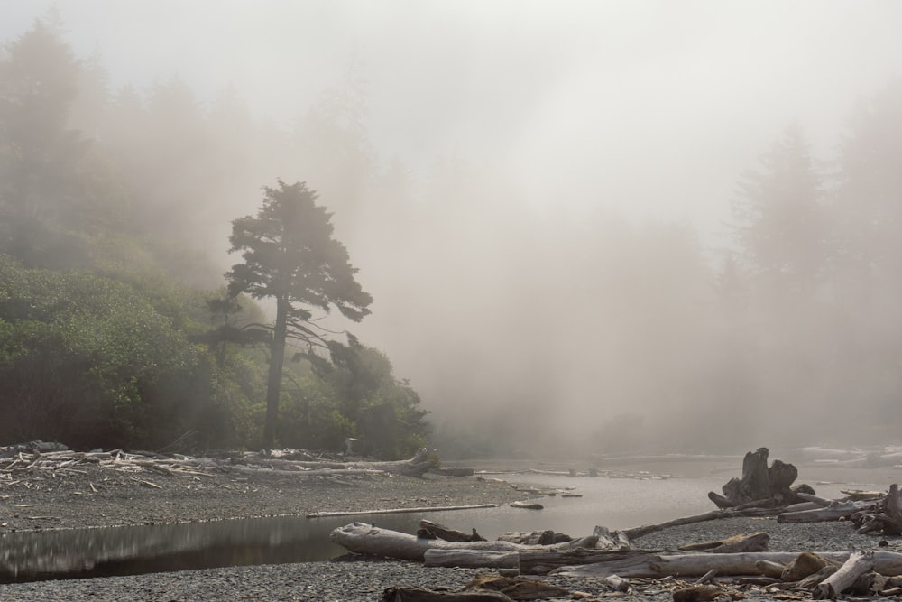 a man sitting on a log on a river bank