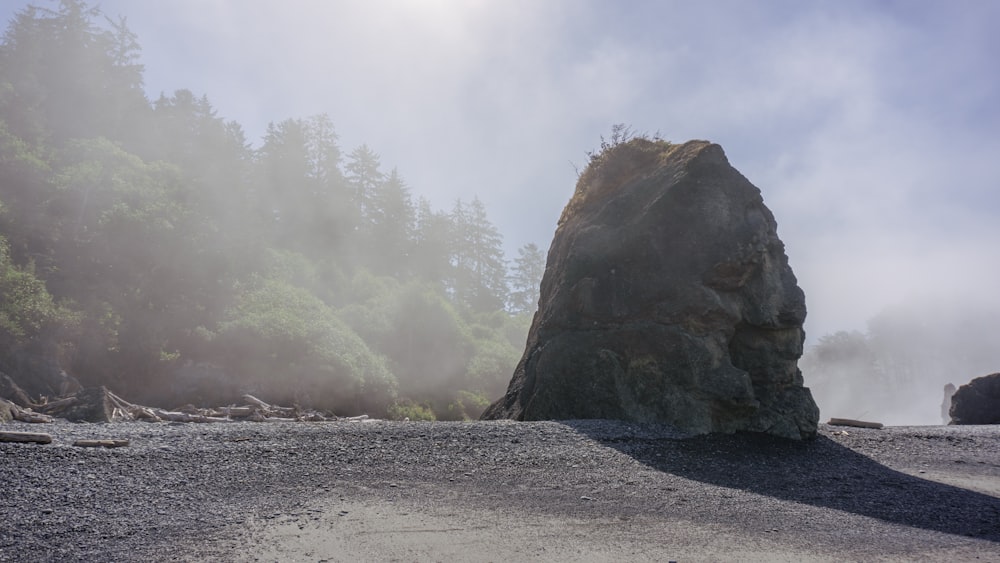 una grande roccia seduta in cima a una spiaggia vicino a una foresta