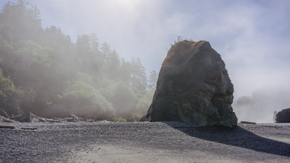 a large rock sitting on top of a beach next to a forest