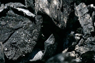 A close-up view of several pieces of charcoal, showcasing their rough textures and dark, ashy surfaces. The intricate details and patterns on each piece are highlighted by the lighting, which casts subtle shadows.