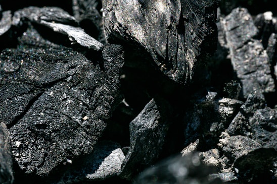 A close-up view of several pieces of charcoal, showcasing their rough textures and dark, ashy surfaces. The intricate details and patterns on each piece are highlighted by the lighting, which casts subtle shadows.