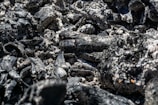 A close-up view of black charcoal pieces with a texture of ash and irregular surfaces. The dark chunks are interspersed with lighter gray ash, creating a rugged and textured composition.
