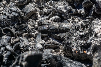 A close-up view of black charcoal pieces with a texture of ash and irregular surfaces. The dark chunks are interspersed with lighter gray ash, creating a rugged and textured composition.