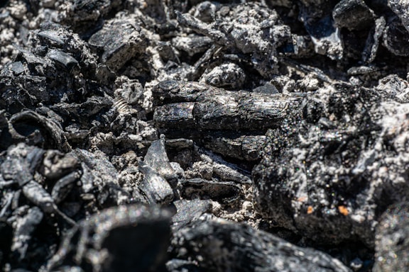 A close-up view of black charcoal pieces with a texture of ash and irregular surfaces. The dark chunks are interspersed with lighter gray ash, creating a rugged and textured composition.