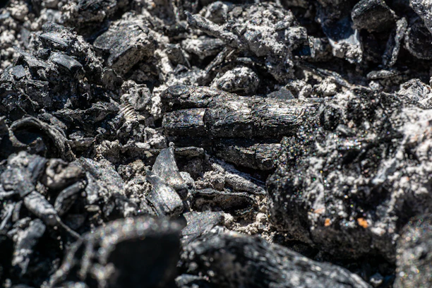 Close-up of rich black hardwood lump charcoal pieces stacked neatly.