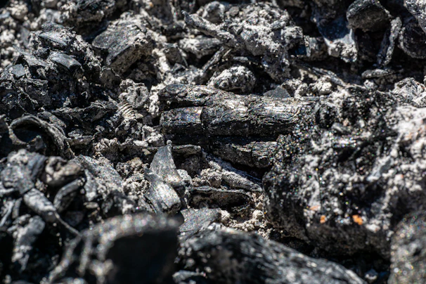 Close-up of biochar granules showcasing their rich texture against a dark background.
