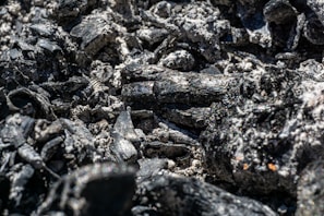 A close-up view of black charcoal pieces with a texture of ash and irregular surfaces. The dark chunks are interspersed with lighter gray ash, creating a rugged and textured composition.