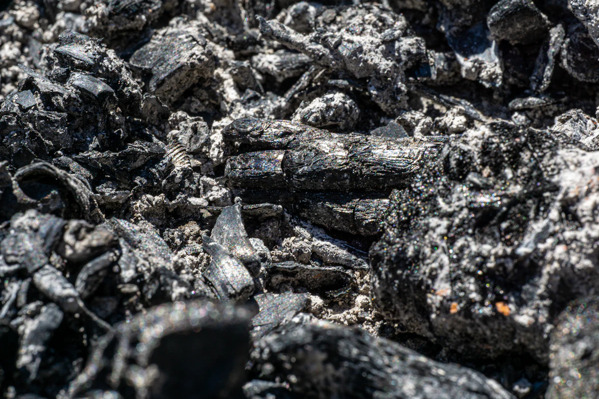 Namibian hardwood charcoal