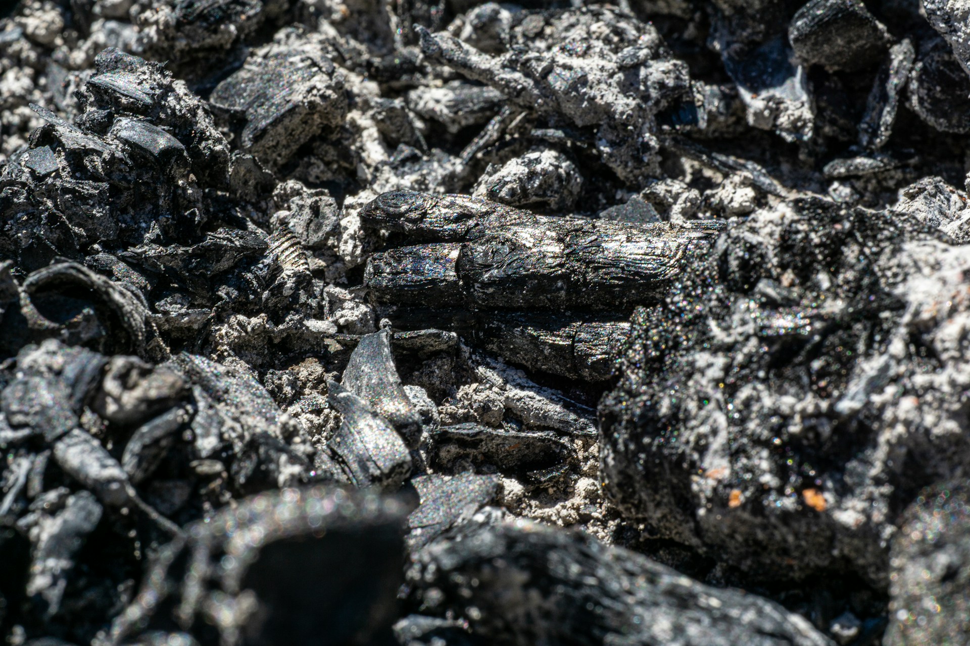 A close-up view of black charcoal pieces with a texture of ash and irregular surfaces. The dark chunks are interspersed with lighter gray ash, creating a rugged and textured composition.