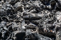 A close-up view of black charcoal pieces with a texture of ash and irregular surfaces. The dark chunks are interspersed with lighter gray ash, creating a rugged and textured composition.