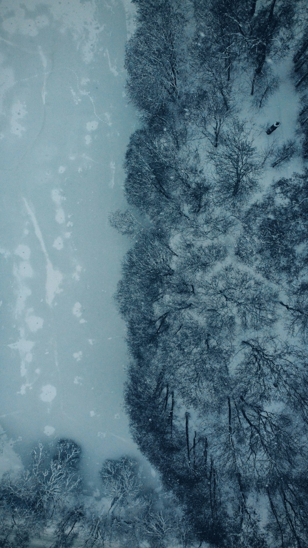 an aerial view of a snow covered forest